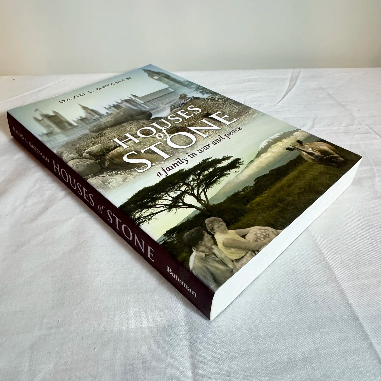Houses of Stone : A Family In War and Peace - David L Bateman