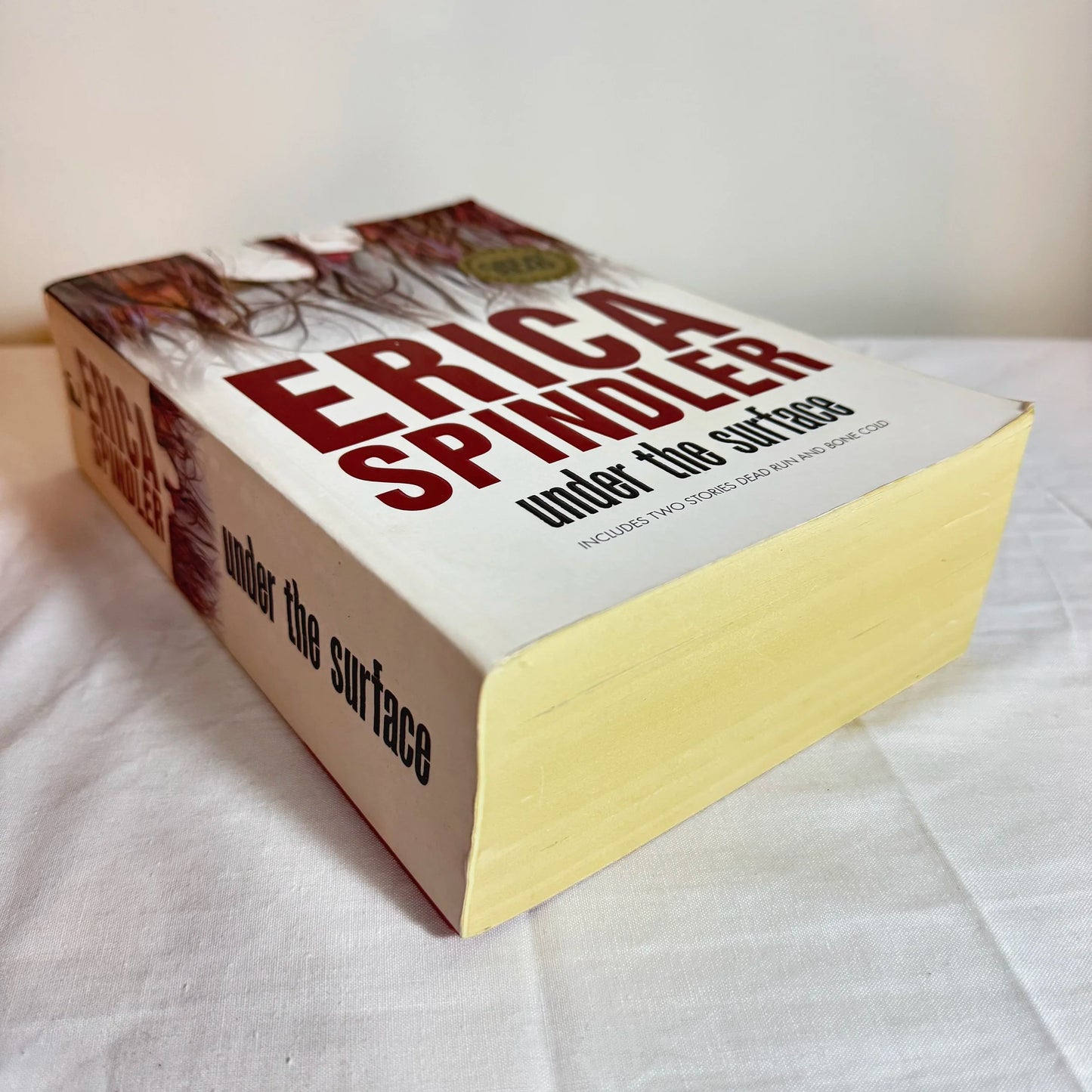 Under The Surface - Erica Spindler