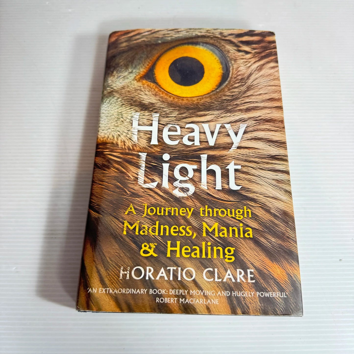 Heavy Light: A Journey Through Madness, Mania & Healing - Horatio Clare