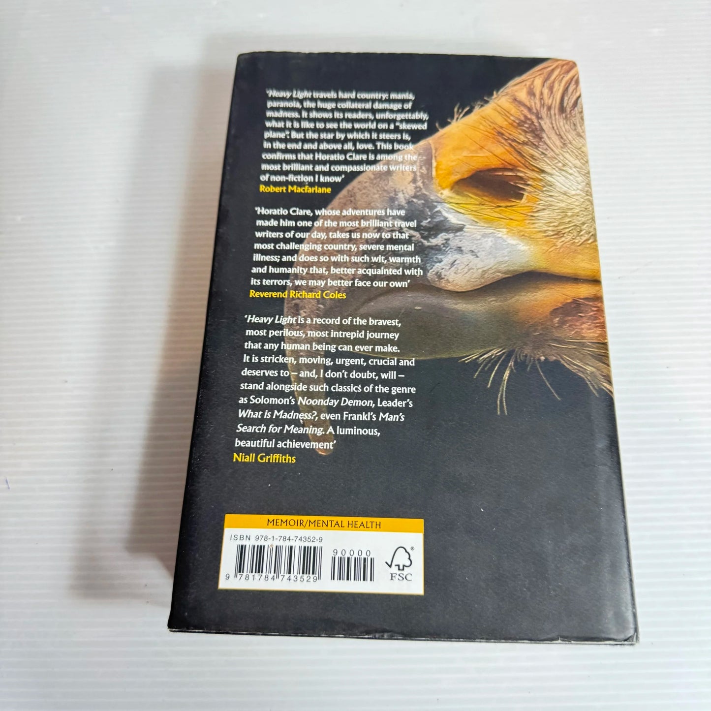 Heavy Light: A Journey Through Madness, Mania & Healing - Horatio Clare