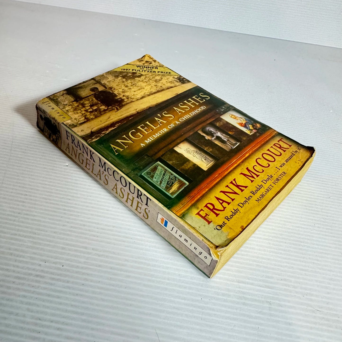 Angela's Ashes - Frank McCourt