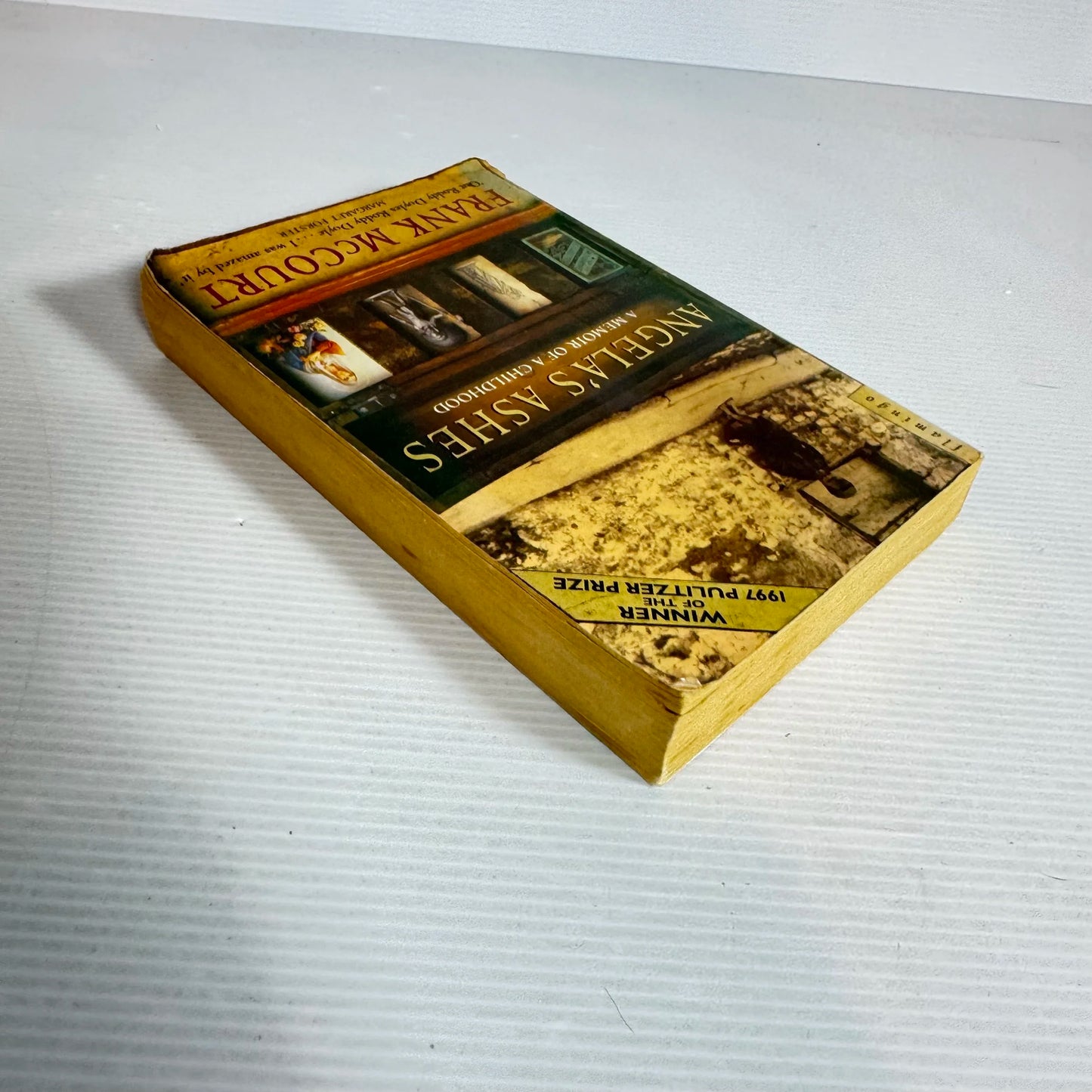 Angela's Ashes - Frank McCourt