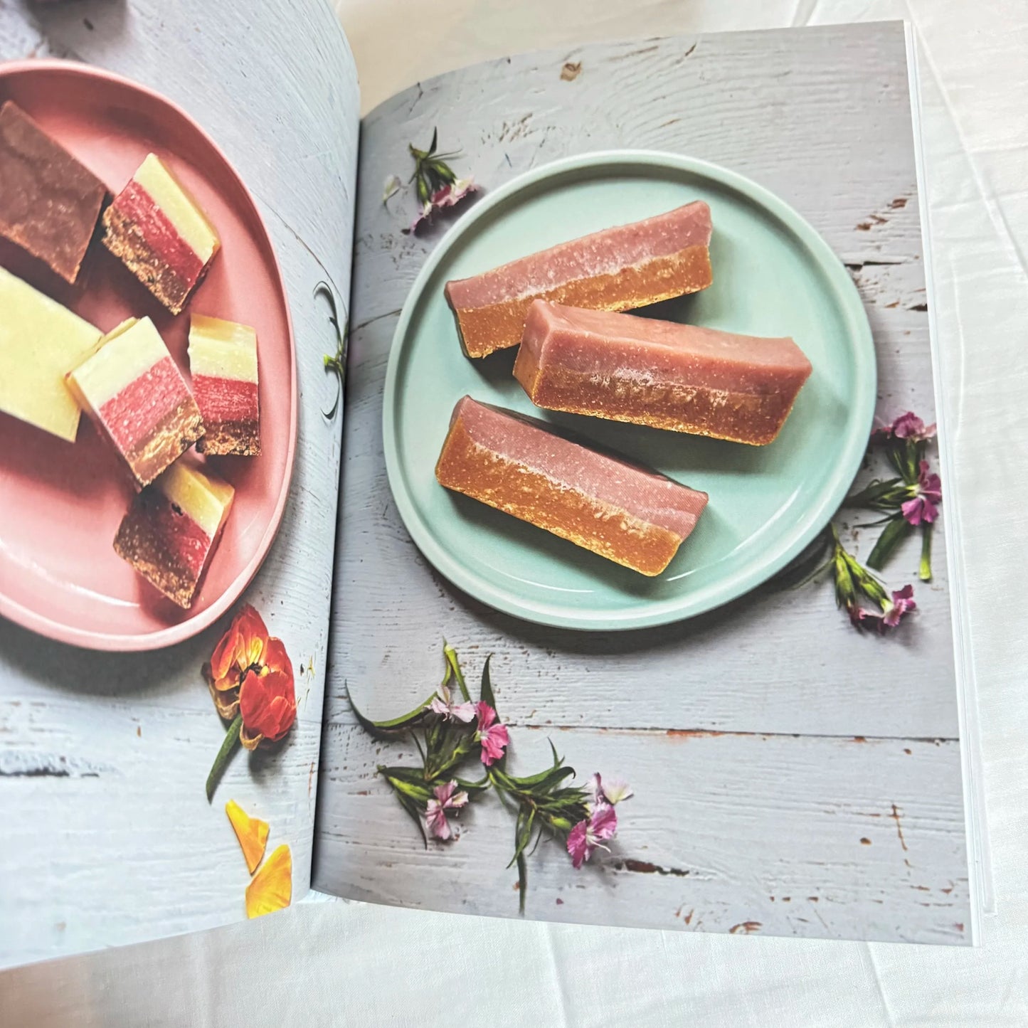 The Healthy Convert - Nicole Maree