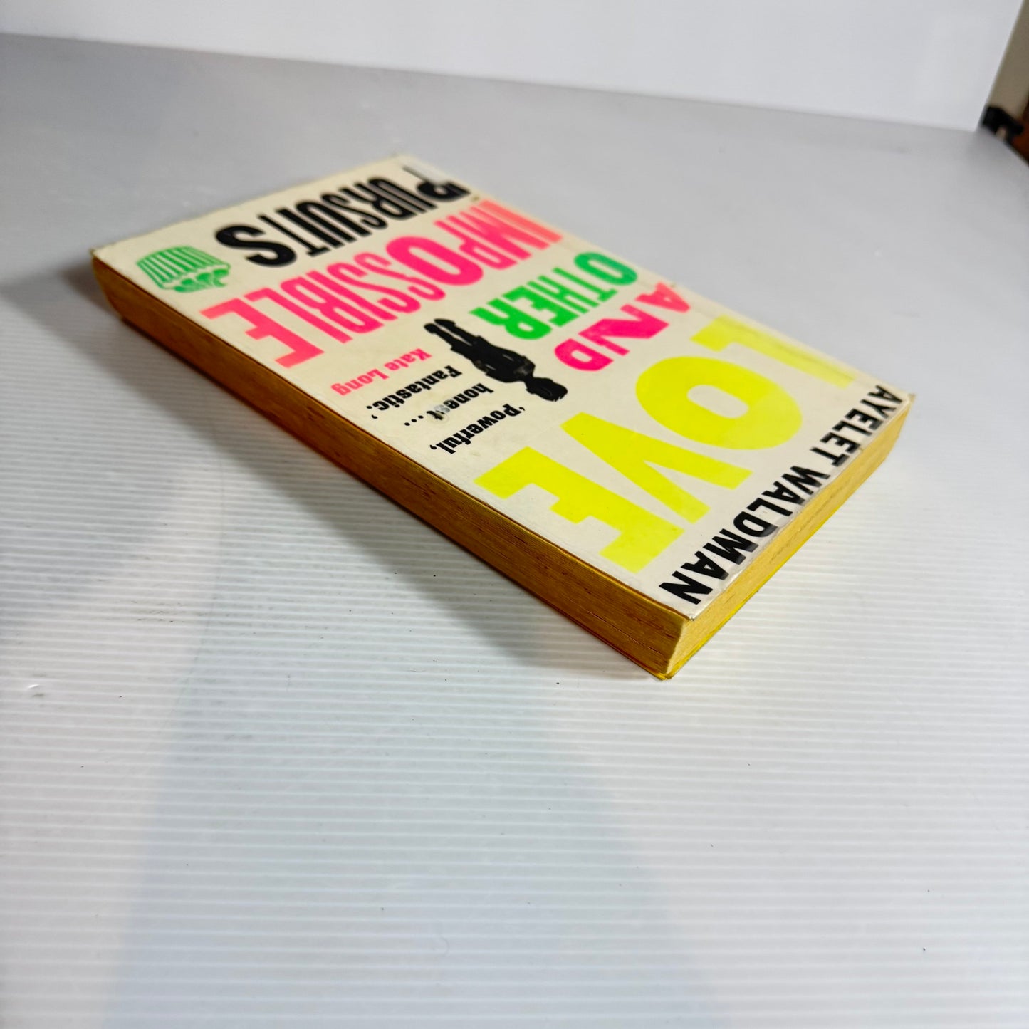 Love And Other Impossible Pursuits - Ayelet Waldman