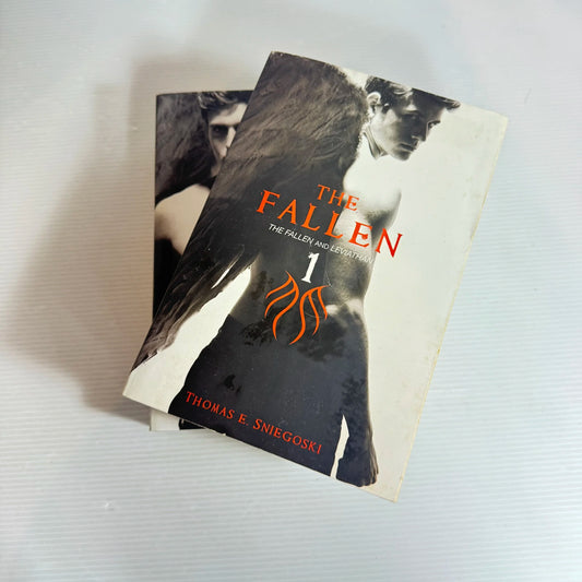Thomas E. Sniegoski The Fallen Book Bundle x 2 - The Fallen and Leviathan 1 & Aerie and Reckoning 2