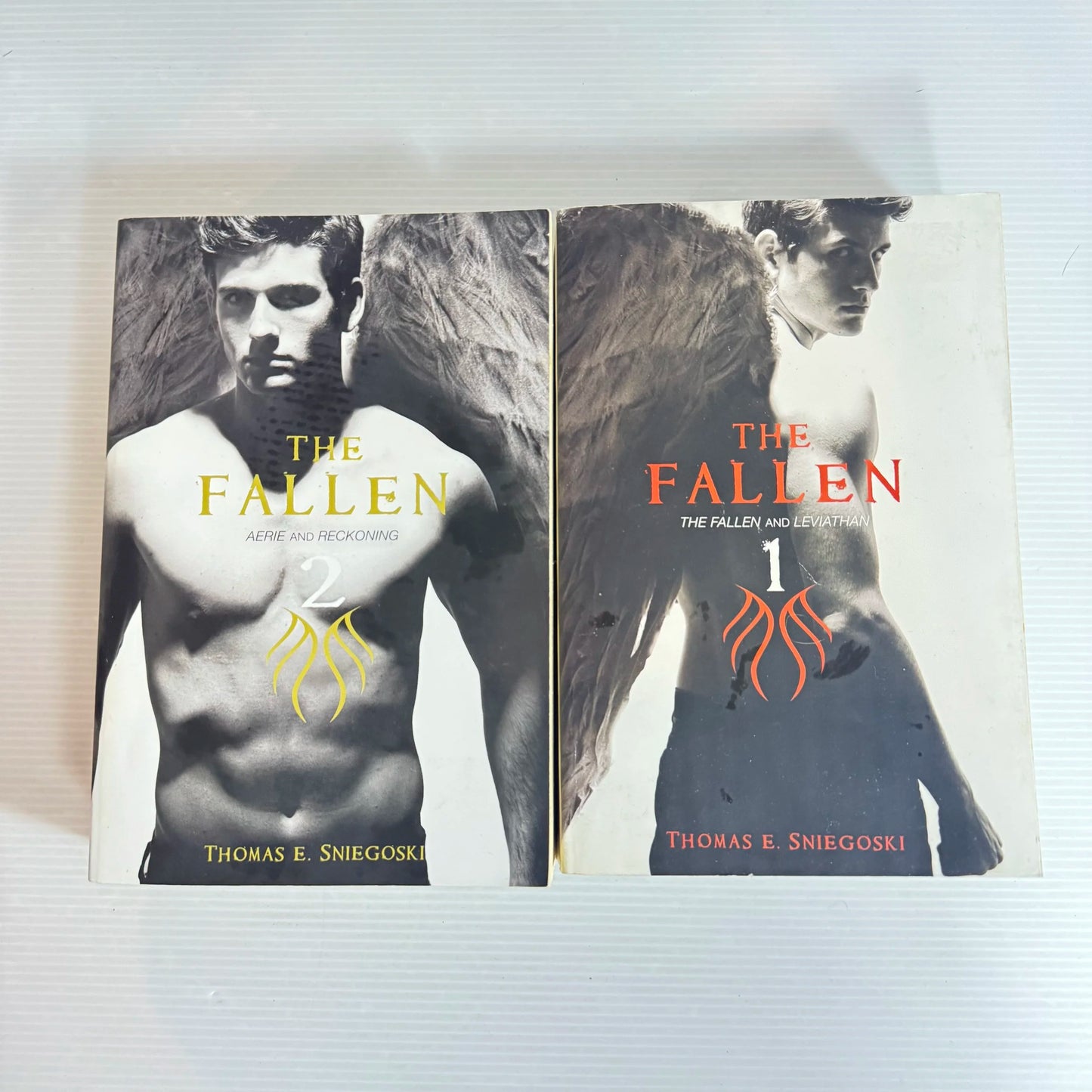 Thomas E. Sniegoski The Fallen Book Bundle x 2 - The Fallen and Leviathan 1 & Aerie and Reckoning 2