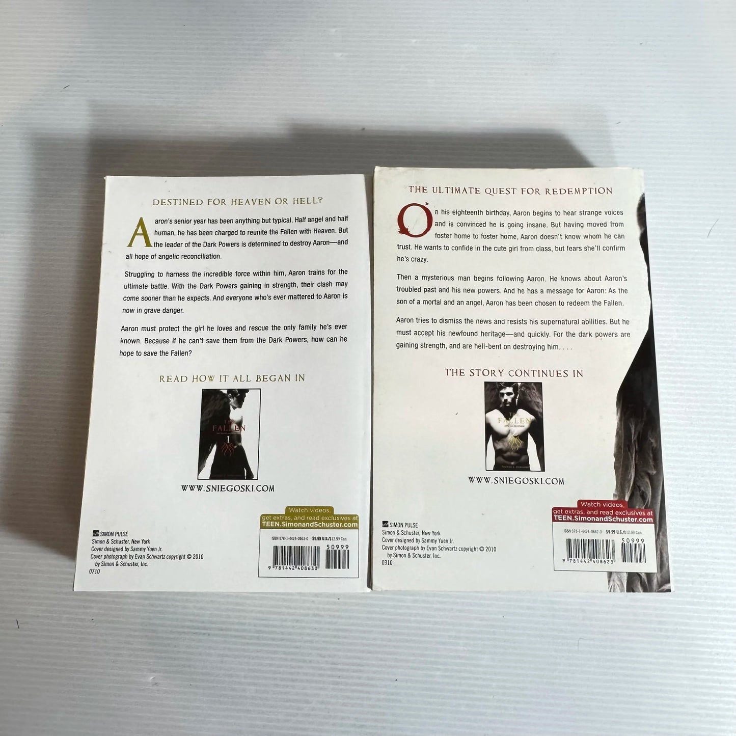 Thomas E. Sniegoski The Fallen Book Bundle x 2 - The Fallen and Leviathan 1 & Aerie and Reckoning 2