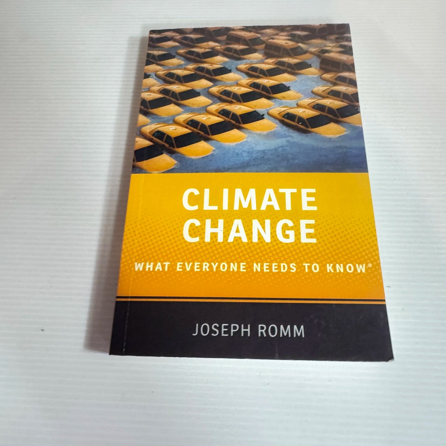 Climate Change: What Everyone Needs To Know - Joseph Romm