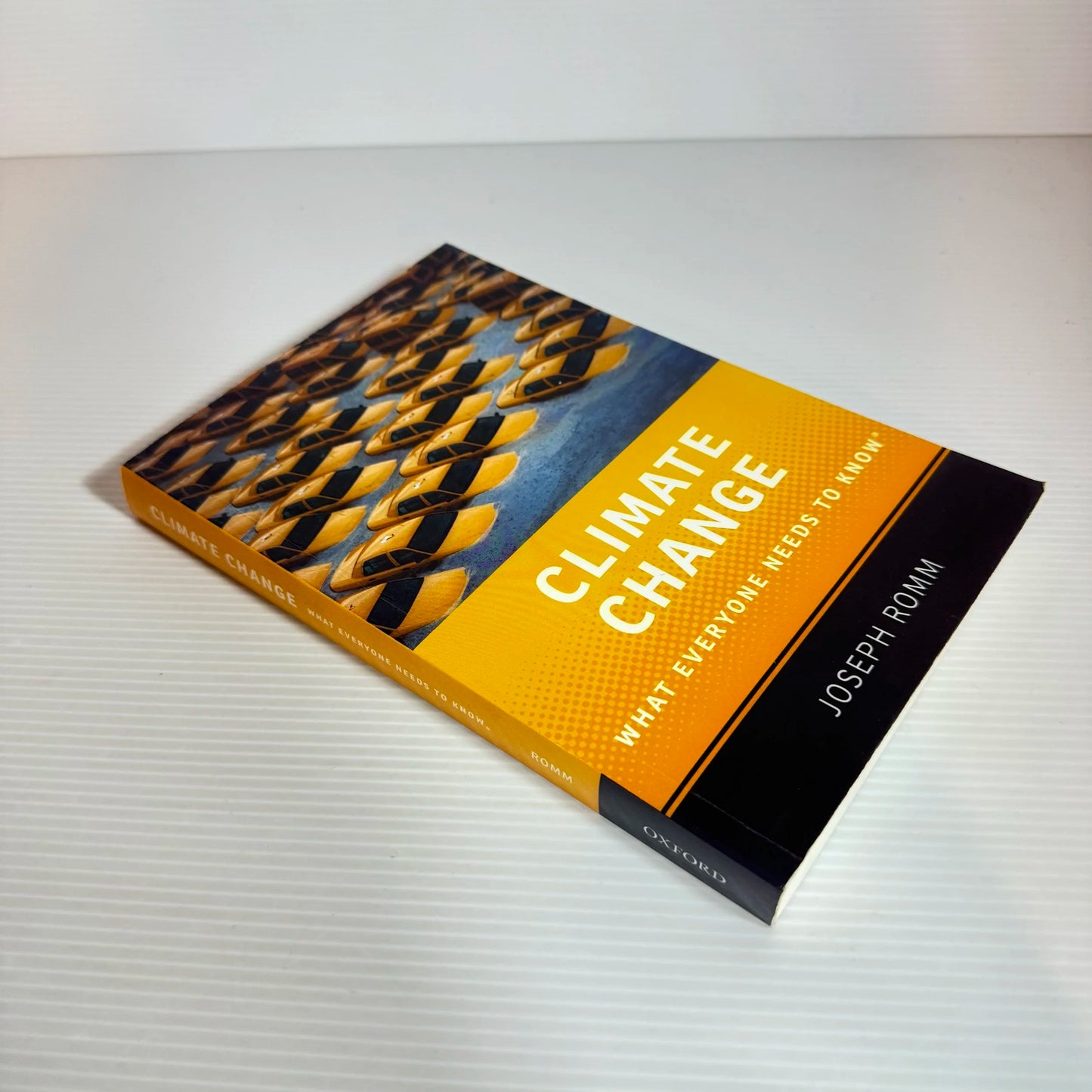 Climate Change: What Everyone Needs To Know - Joseph Romm