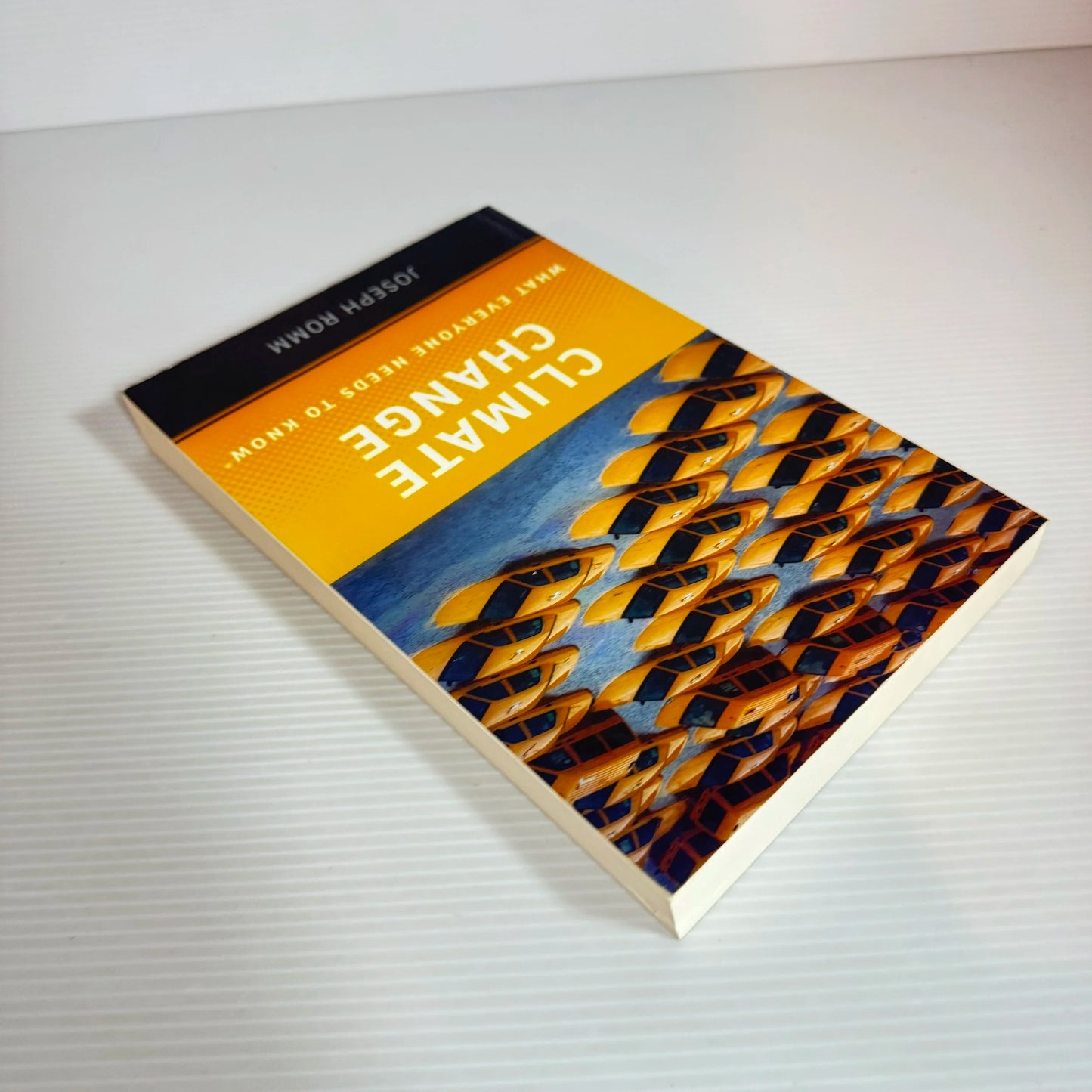 Climate Change: What Everyone Needs To Know - Joseph Romm