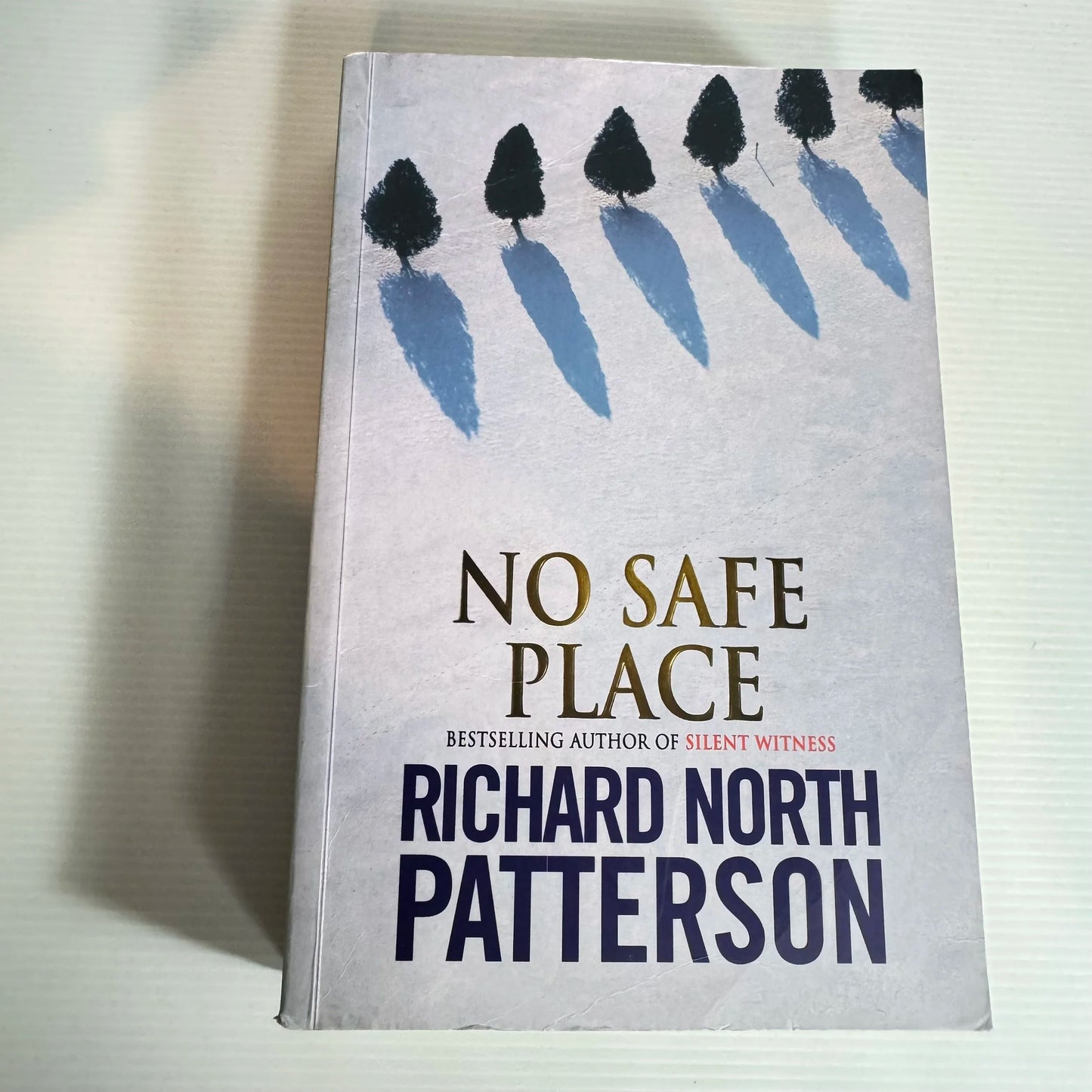 No Safe Place - Richard North Patterson
