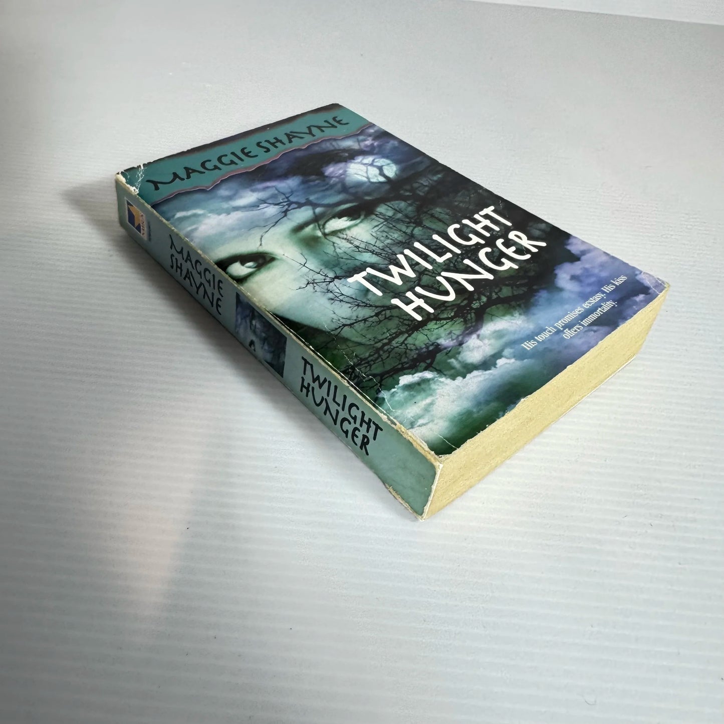 Twilight Hunger - Maggie Shayne