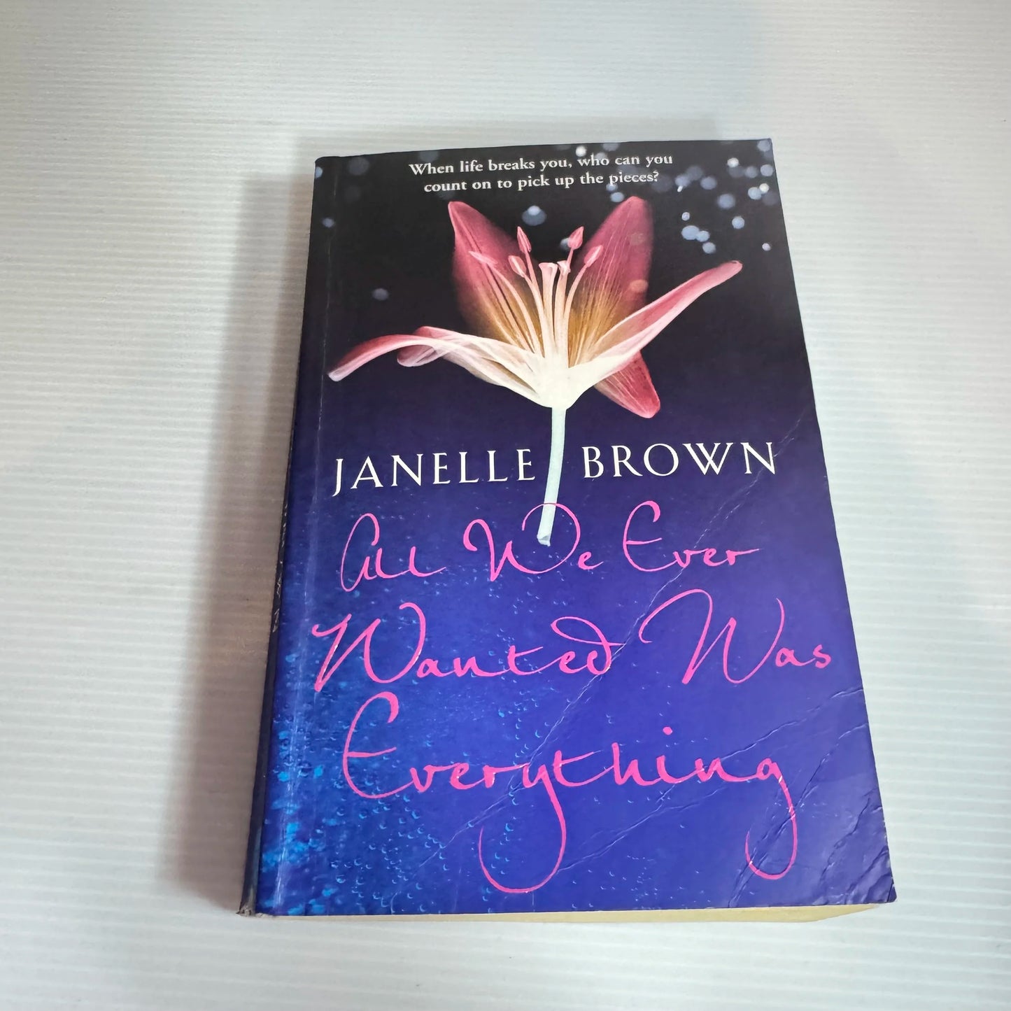 All We Ever Wanted Was Everything - Janelle Brown
