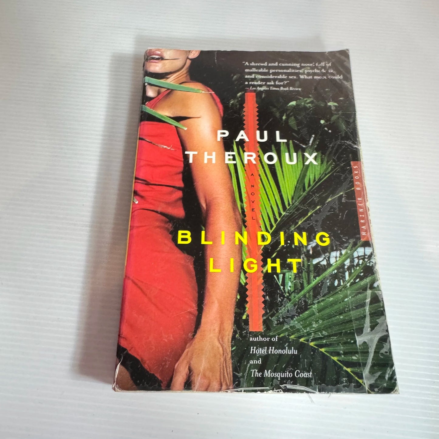 Blinding Light - Paul Theroux
