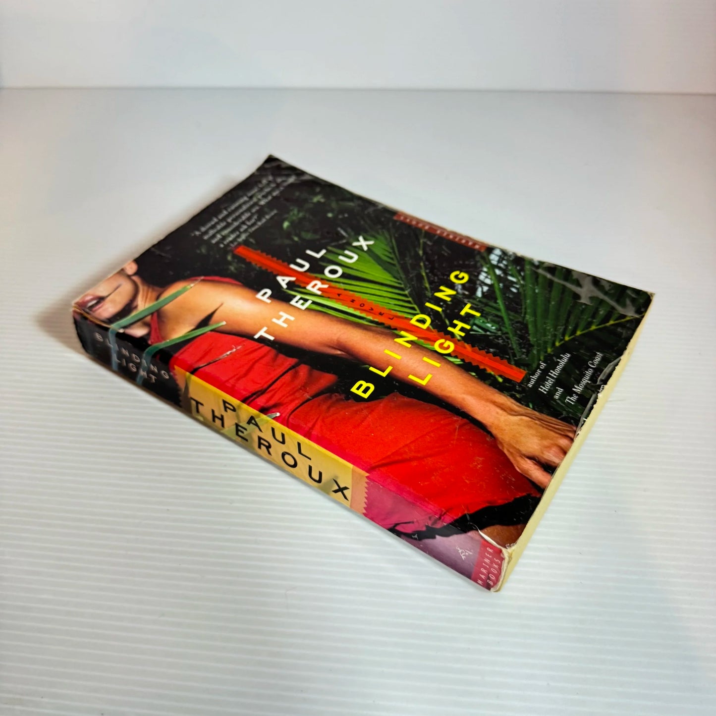 Blinding Light - Paul Theroux