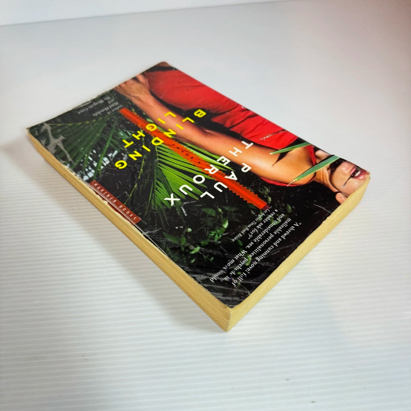Blinding Light - Paul Theroux