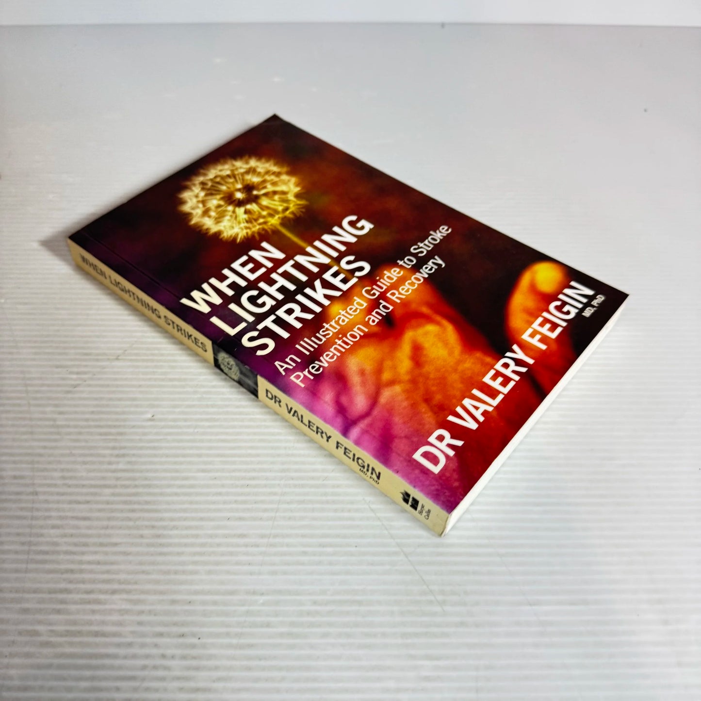 When Lightning Strikes : An Illustrated Guide to Stroke Prevention & Recovery - Dr Valery Feigin MD, PhD.