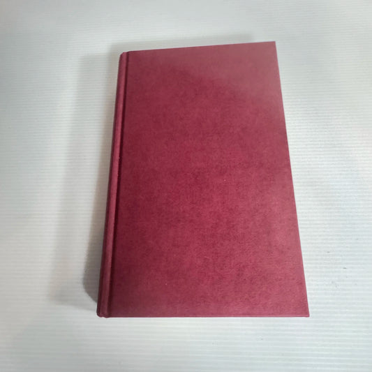 Portrait Of An Unknown Woman - Vanora Bennett