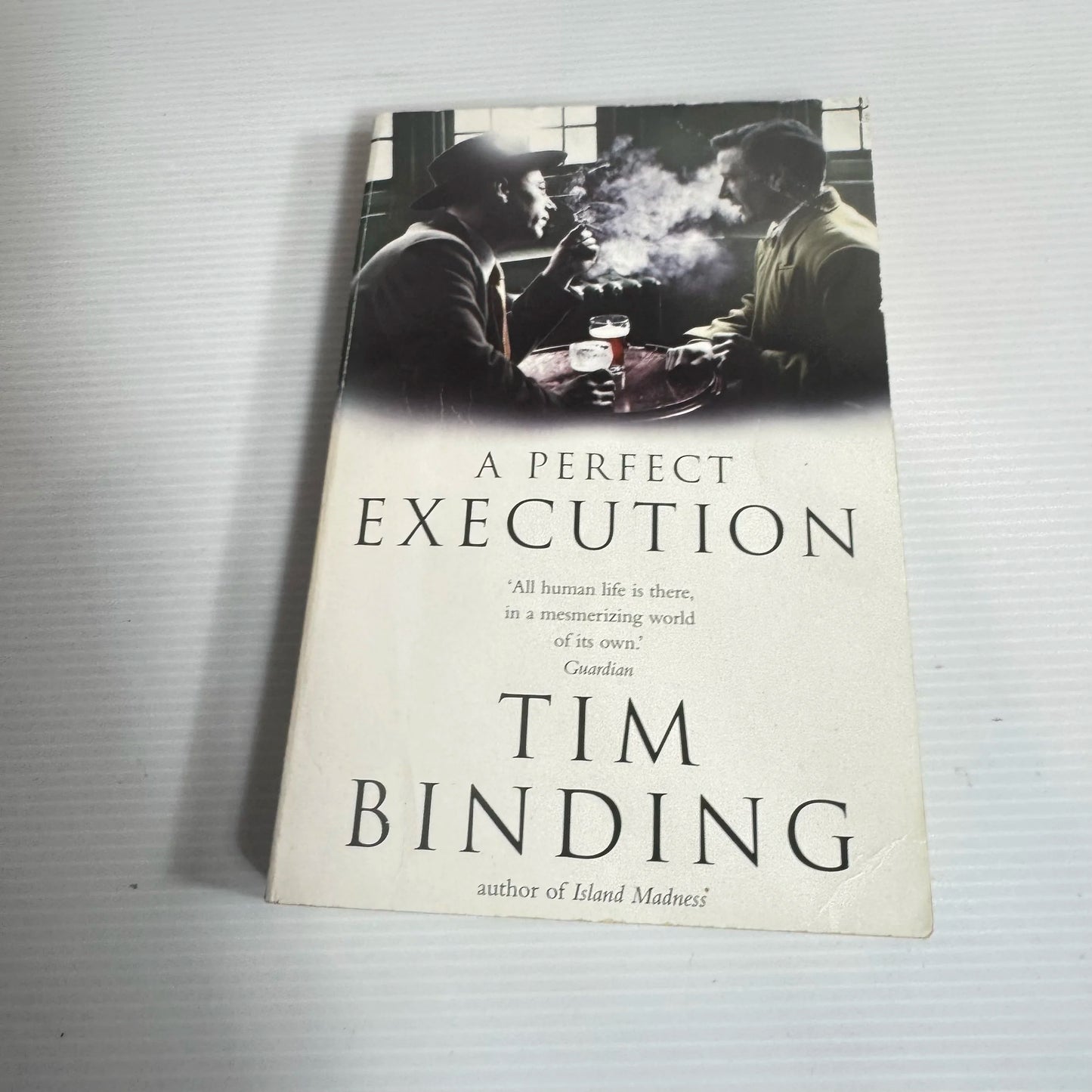 A Perfect Execution - Tim Binding