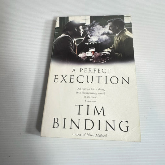 A Perfect Execution - Tim Binding