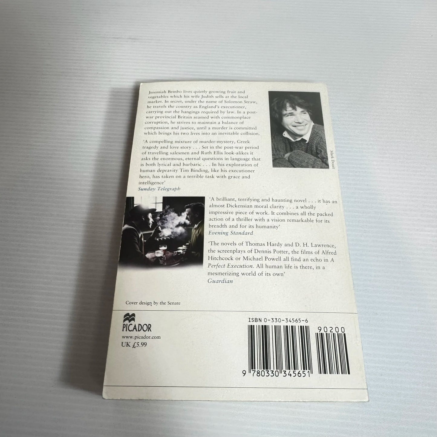 A Perfect Execution - Tim Binding