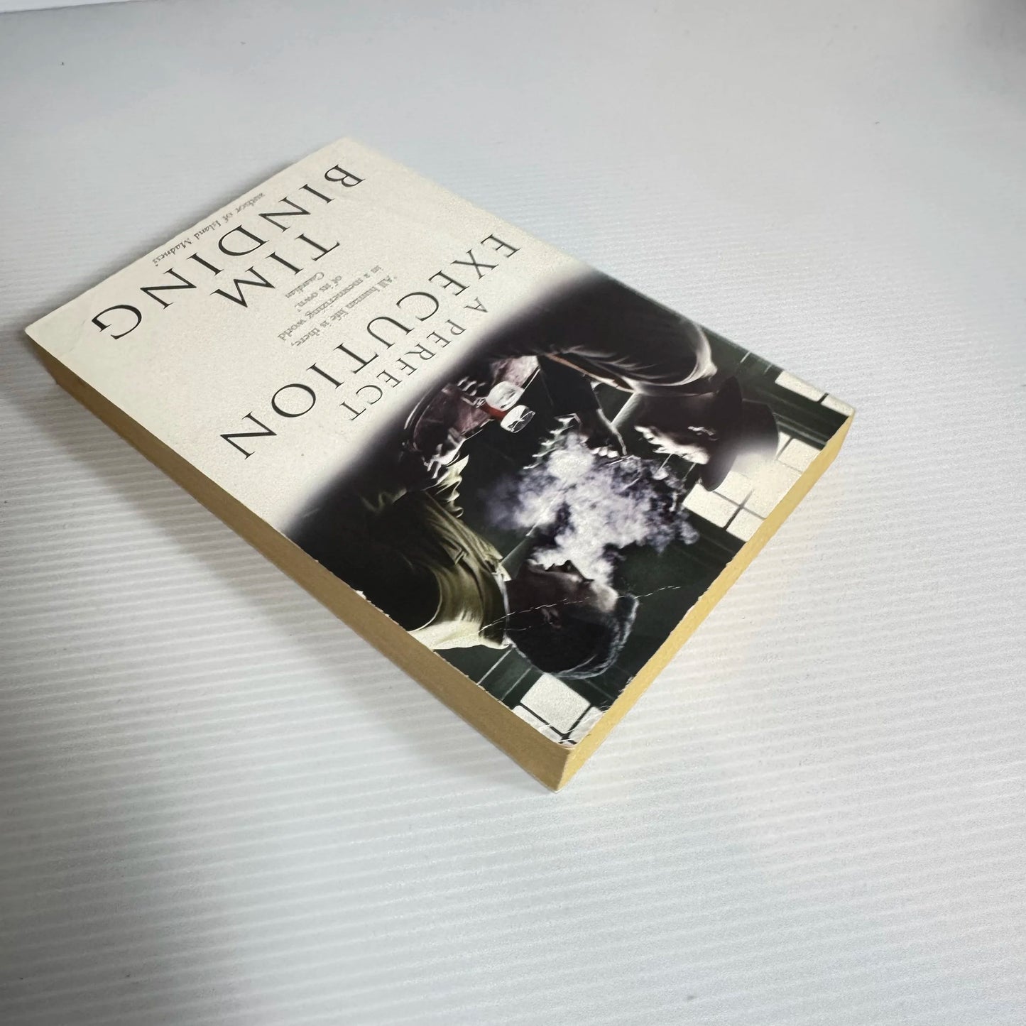 A Perfect Execution - Tim Binding