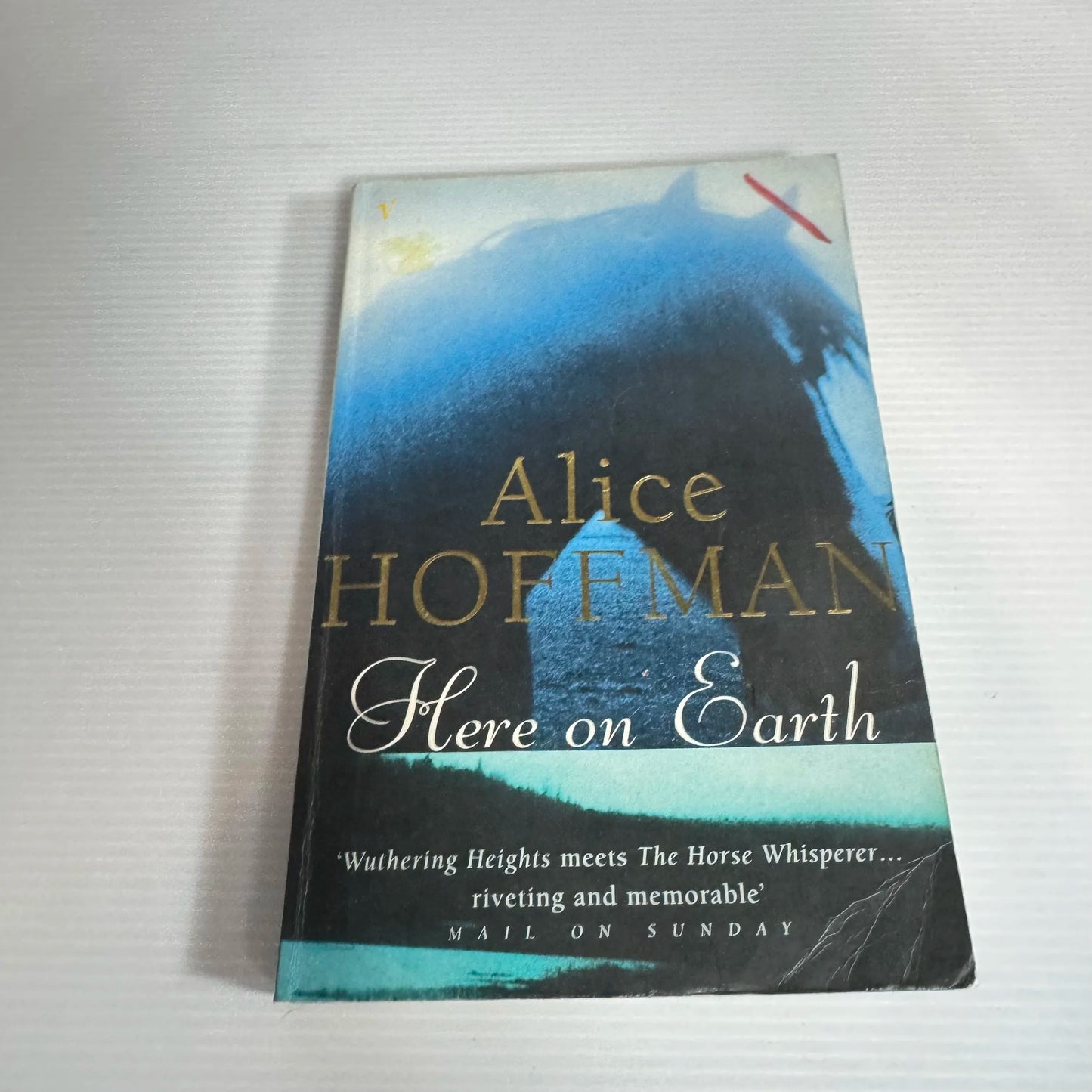 Here On Earth - Alice Hoffman