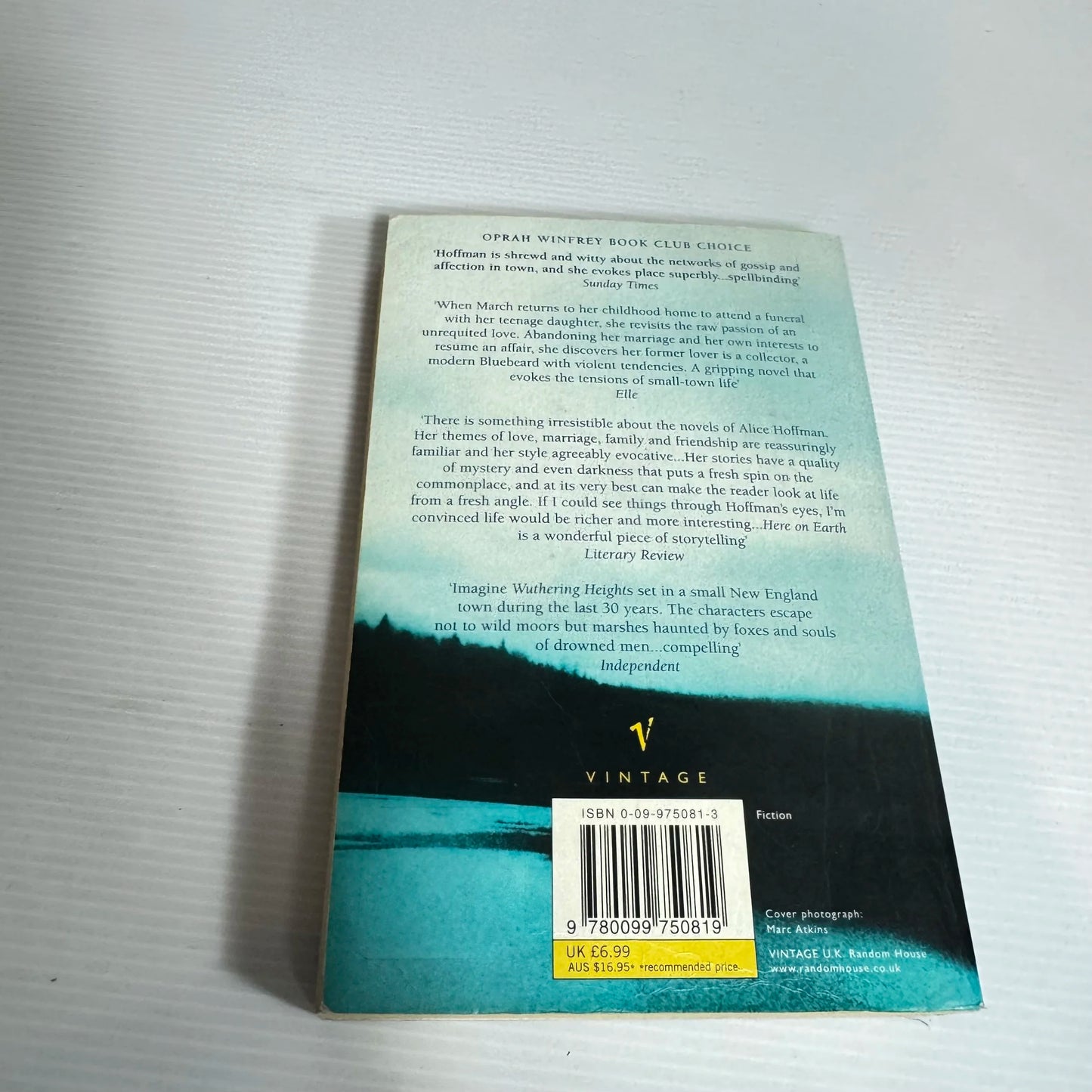 Here On Earth - Alice Hoffman