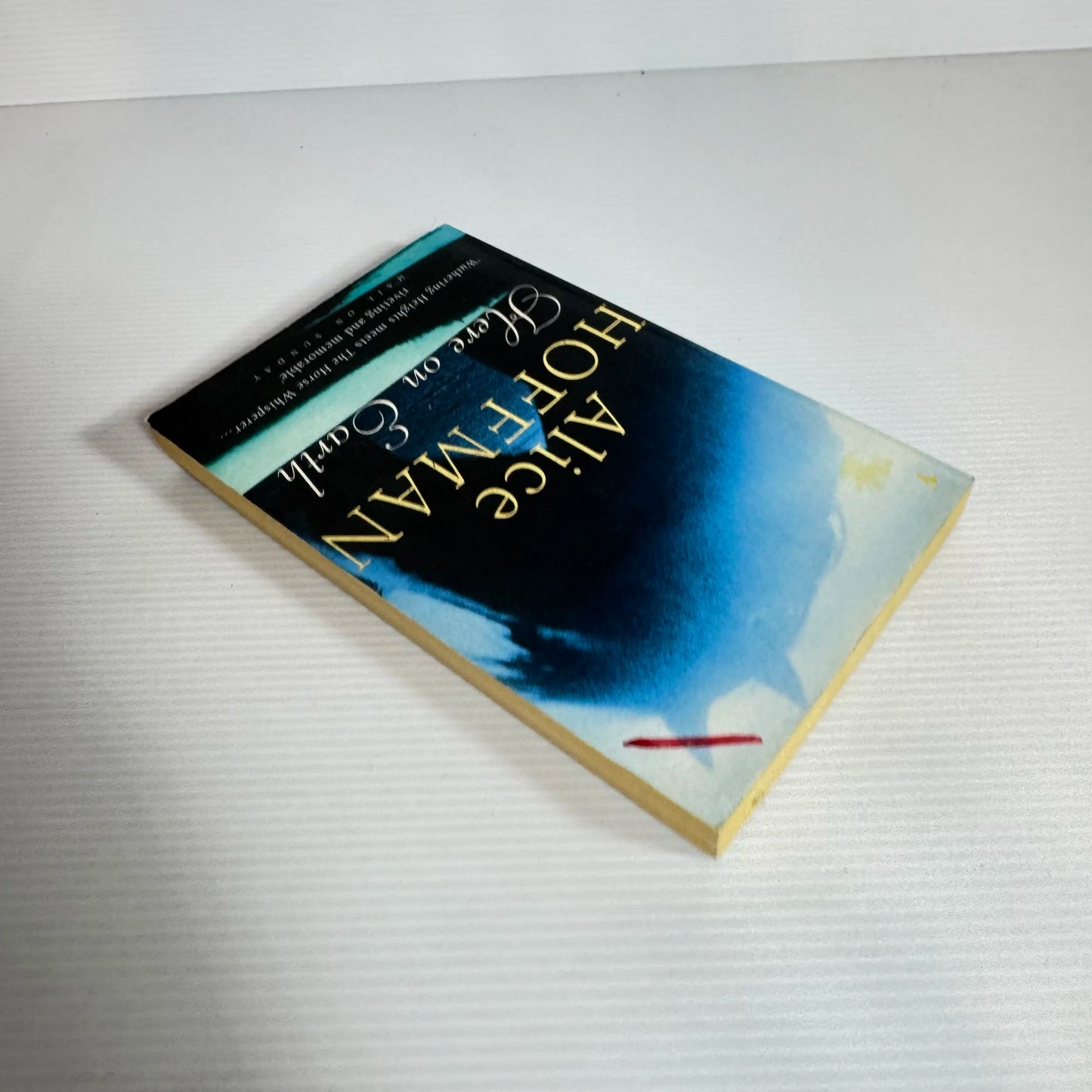 Here On Earth - Alice Hoffman