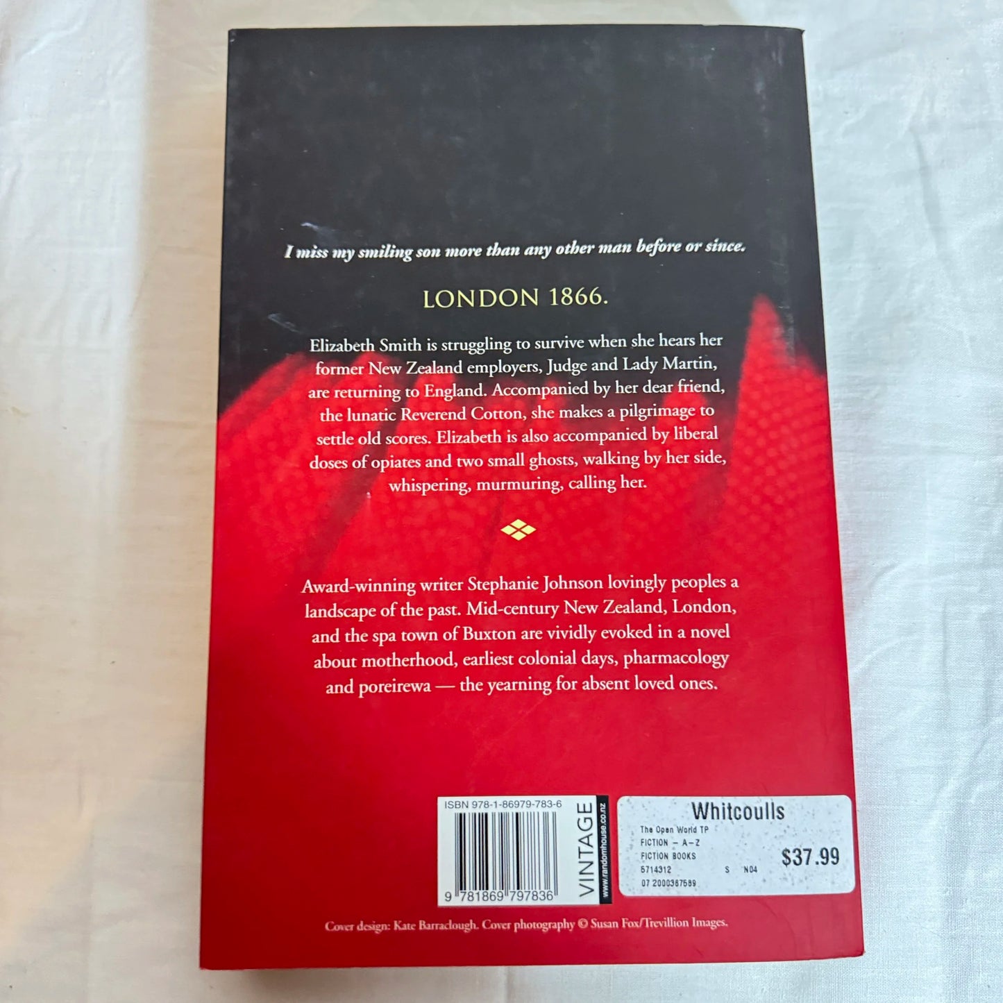 The Open World - Stephanie Johnson
