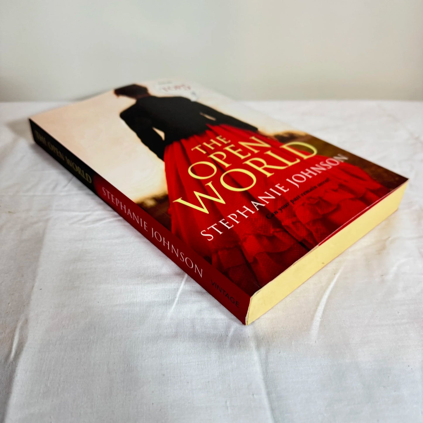 The Open World - Stephanie Johnson