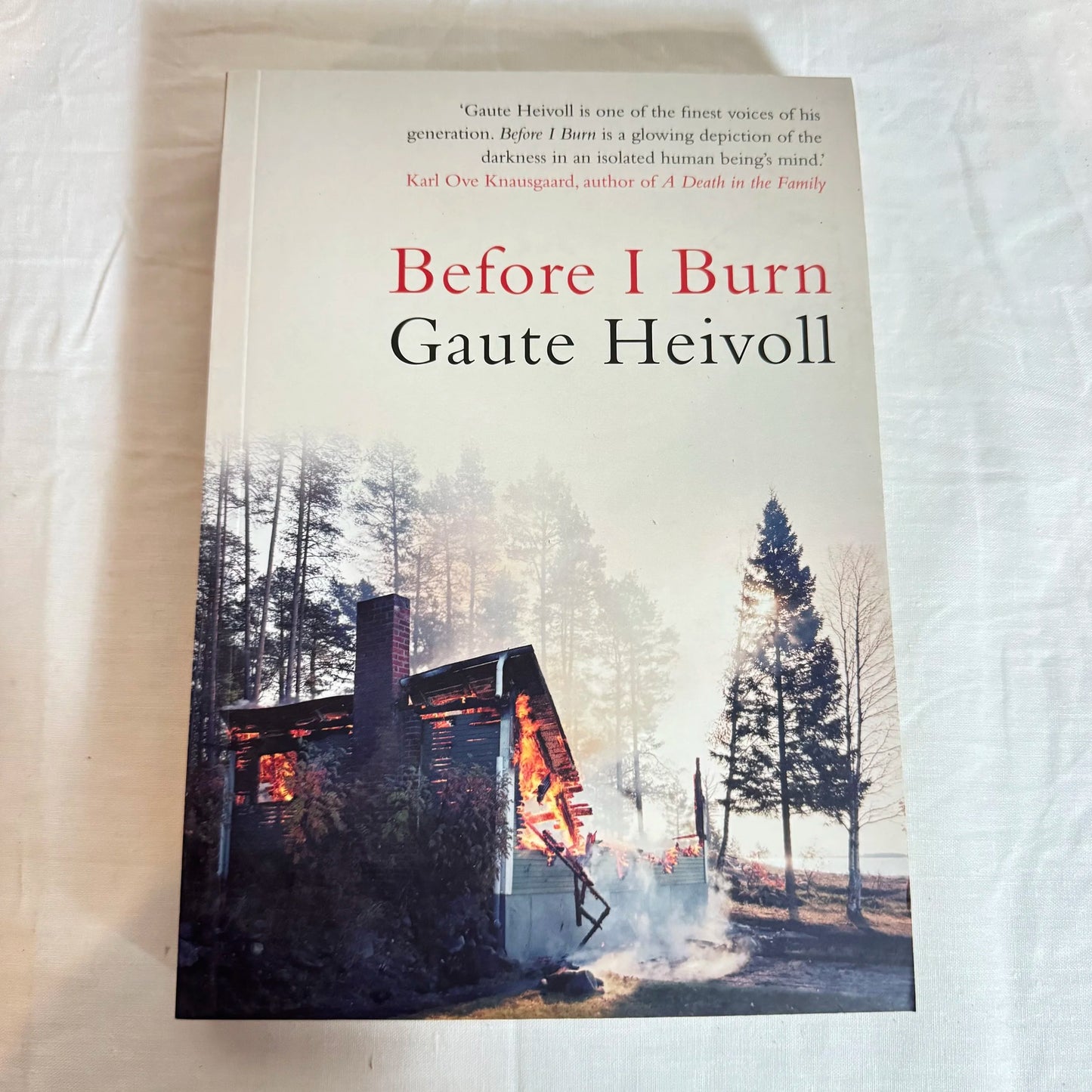 Before I Burn - Gaute Heivoll
