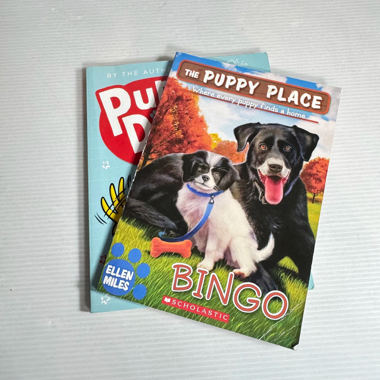 Children's Puppy Book Bundle x 2 Puppy Diary : The Great Toy Rescue & The Puppy Place : Bingo