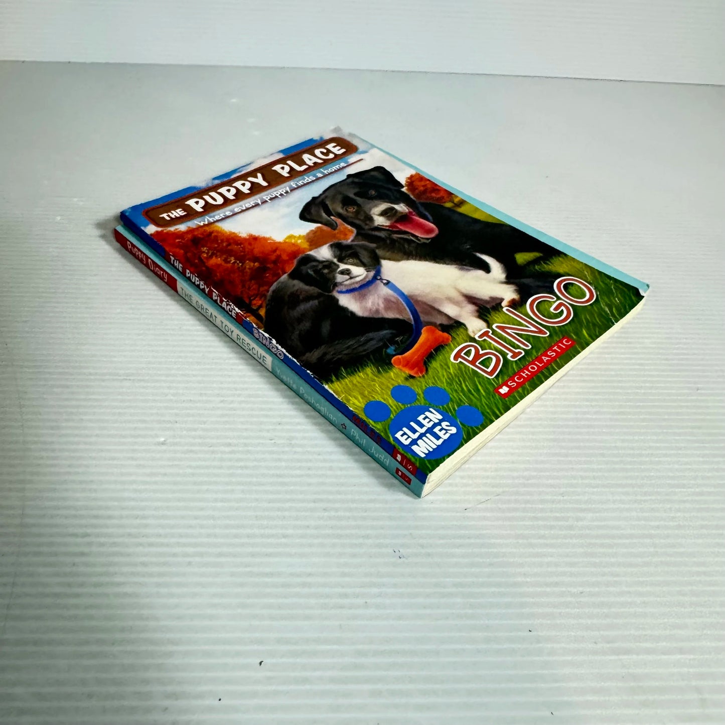 Children's Puppy Book Bundle x 2 Puppy Diary : The Great Toy Rescue & The Puppy Place : Bingo