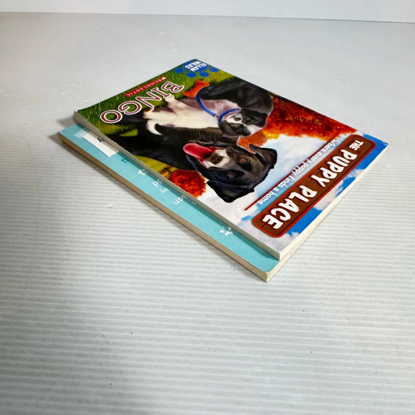 Children's Puppy Book Bundle x 2 Puppy Diary : The Great Toy Rescue & The Puppy Place : Bingo