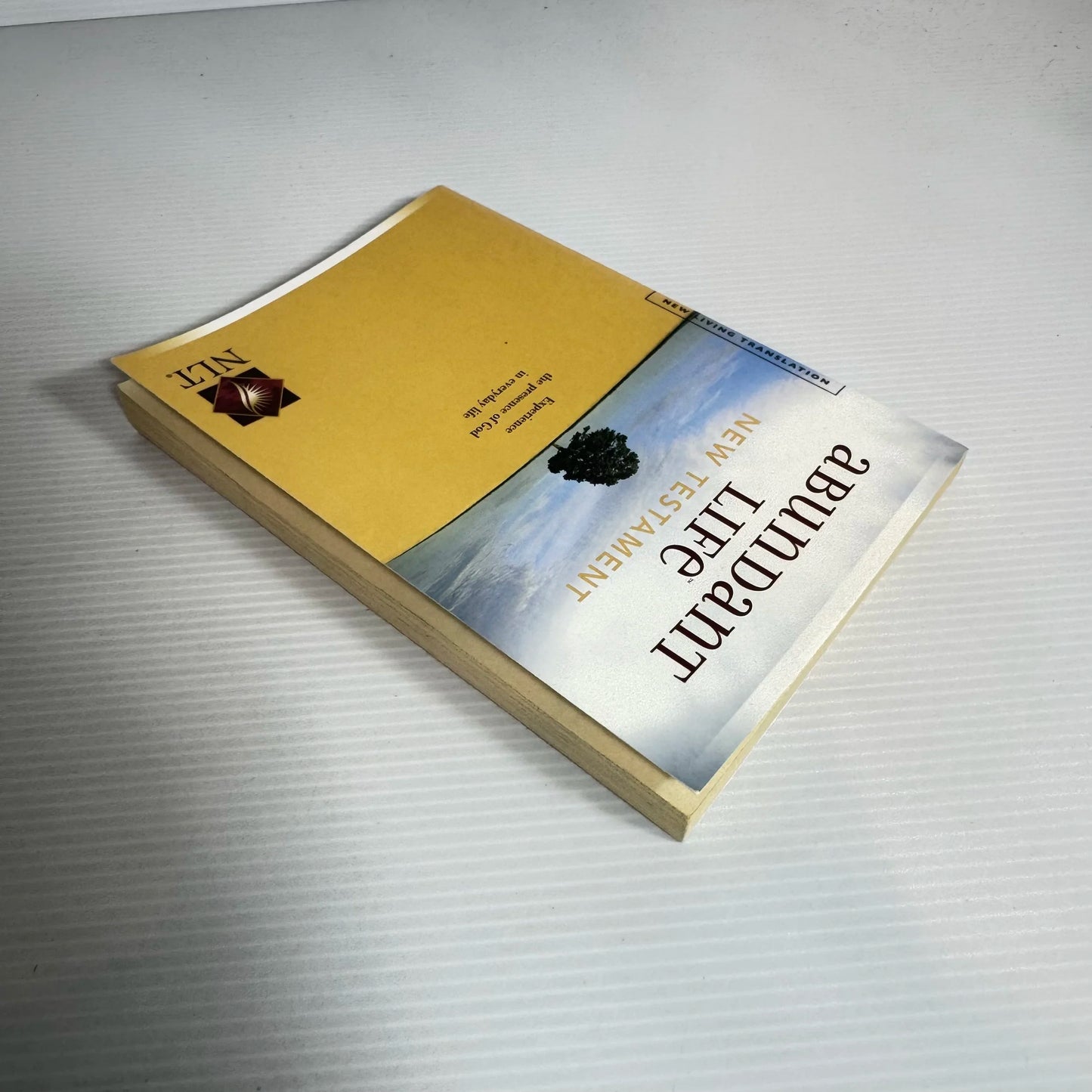 Abundant Life: New testament NLT