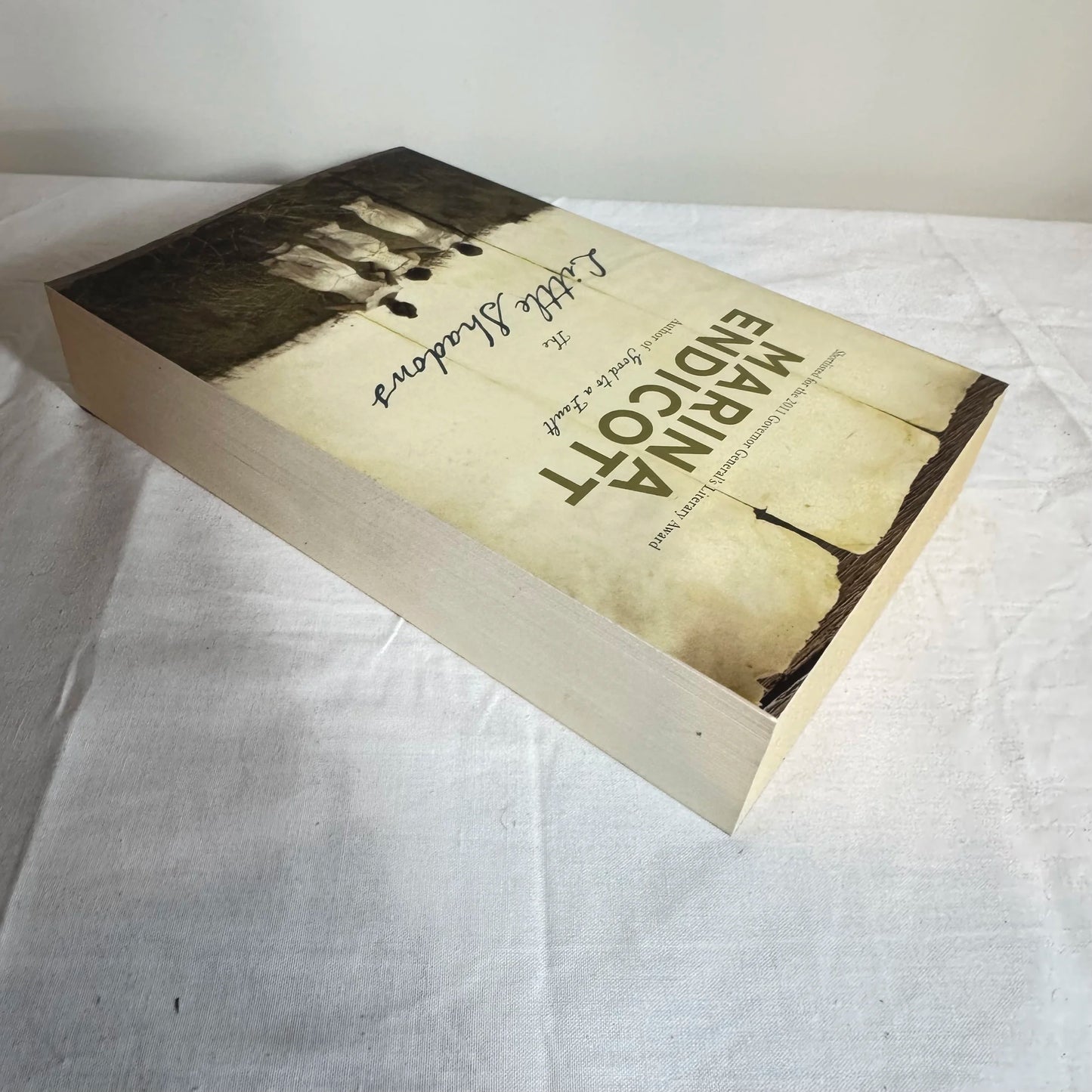 The Little Shadows - Marina Endicott