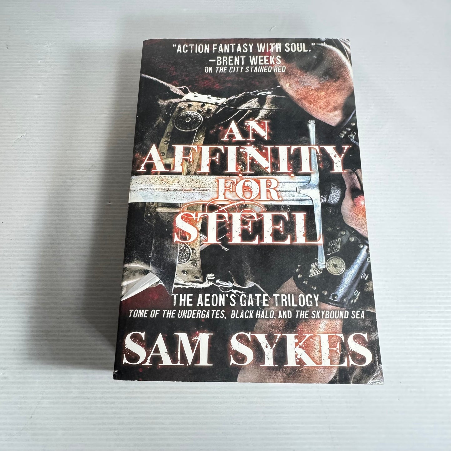 An Affinity For Steel. - Sam Sykes
