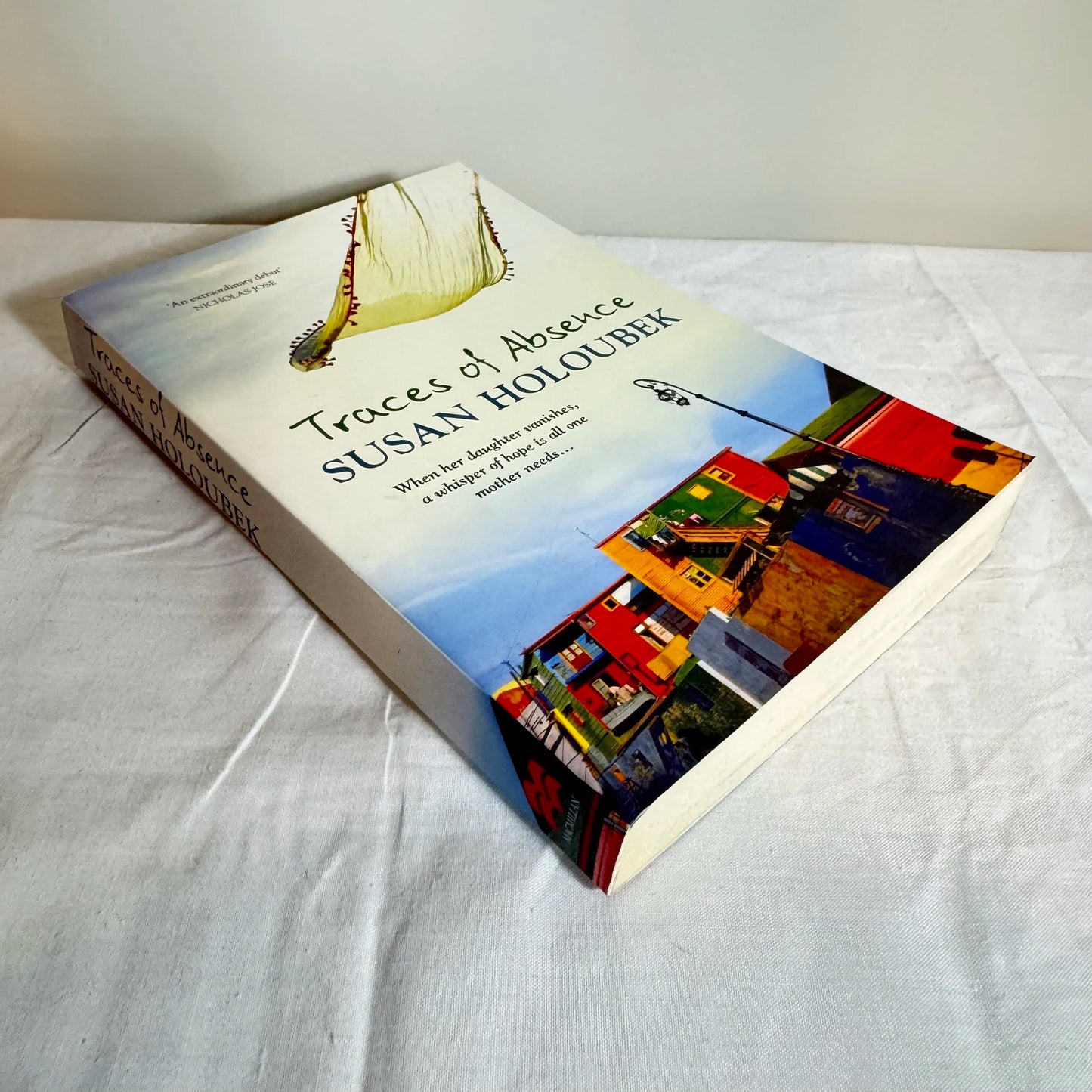 Traces of Absence - Susan Holoubek