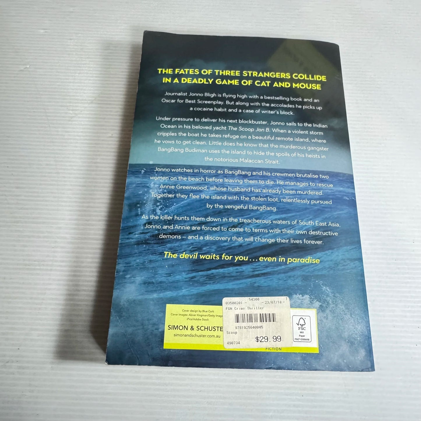 The Scoop - Terence J. Quinn