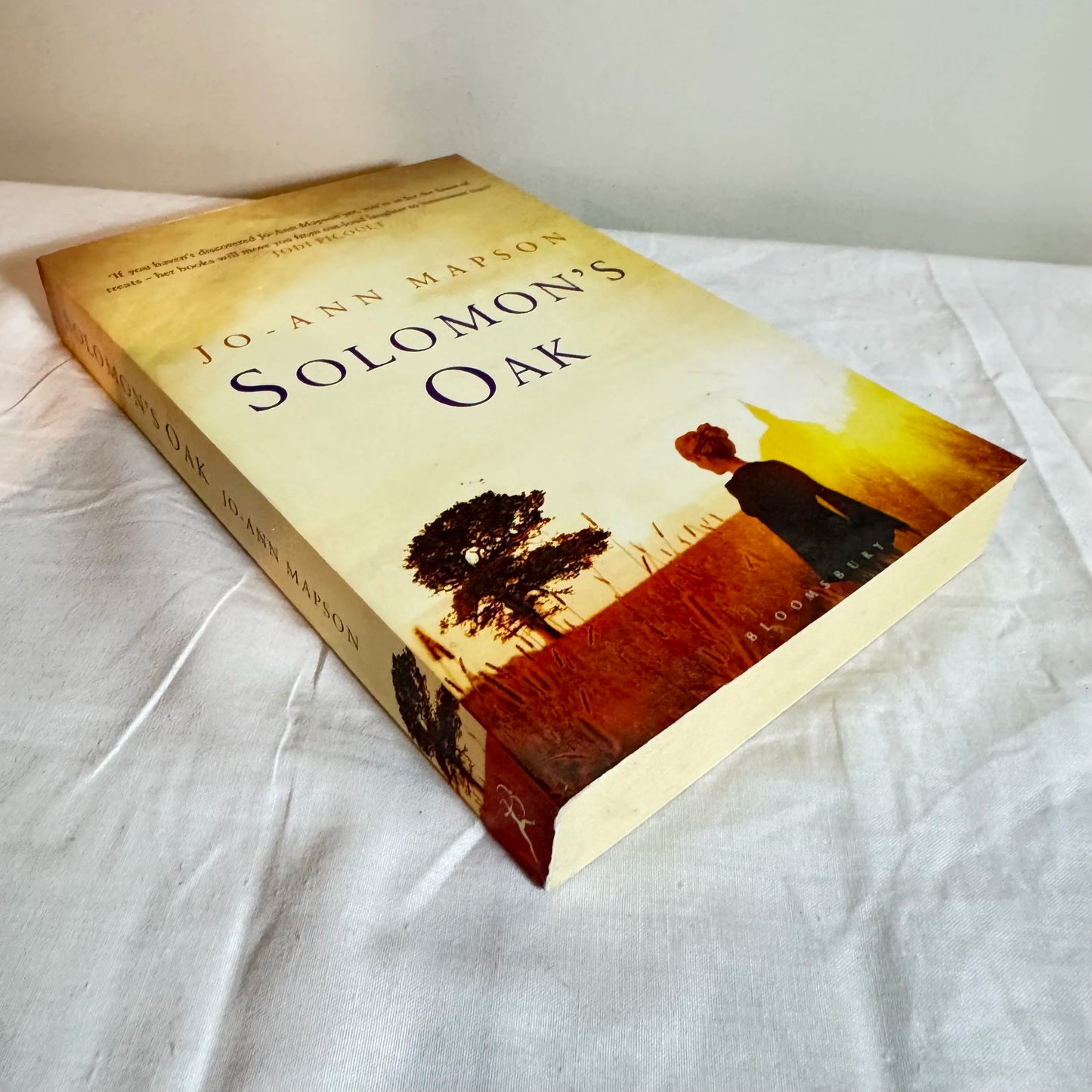 Solomon's Oak - Jo-Ann Mapson
