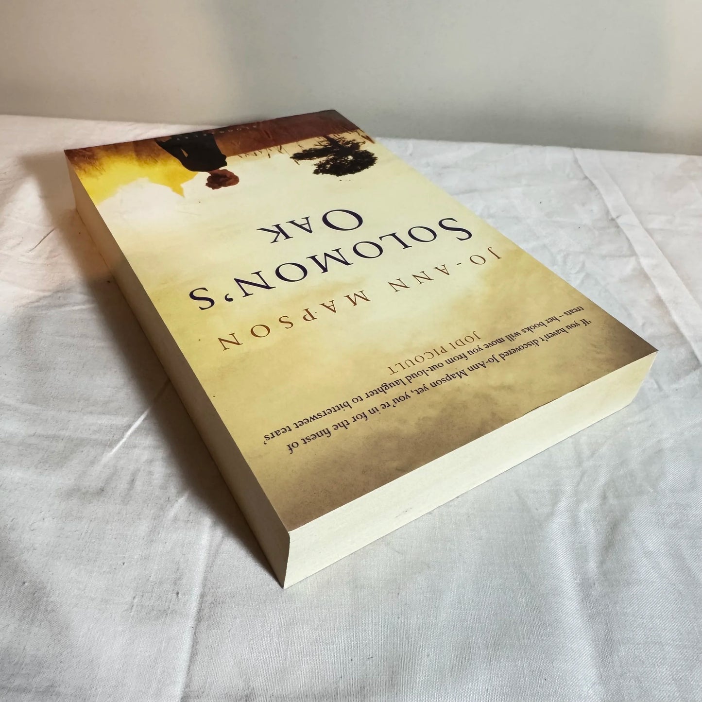 Solomon's Oak - Jo-Ann Mapson