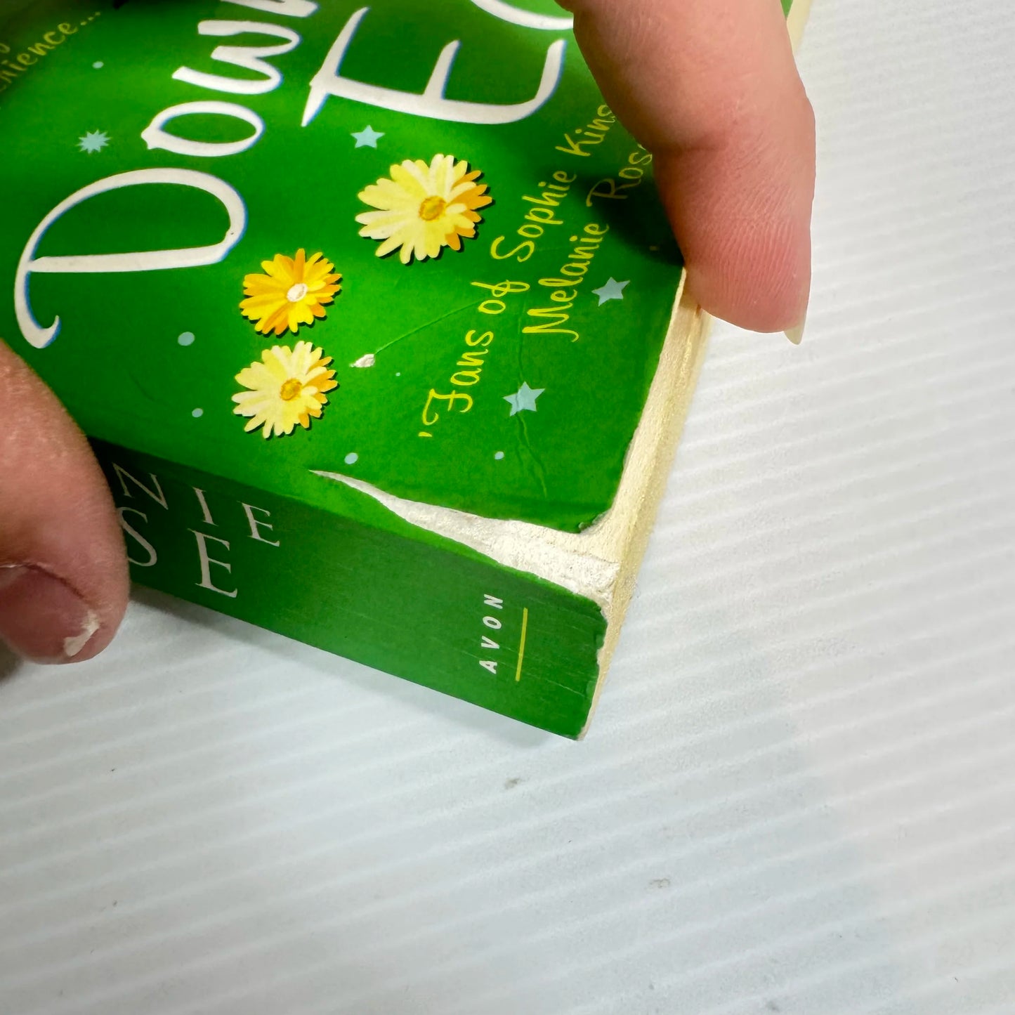 Down To Earth - Melanie Rose