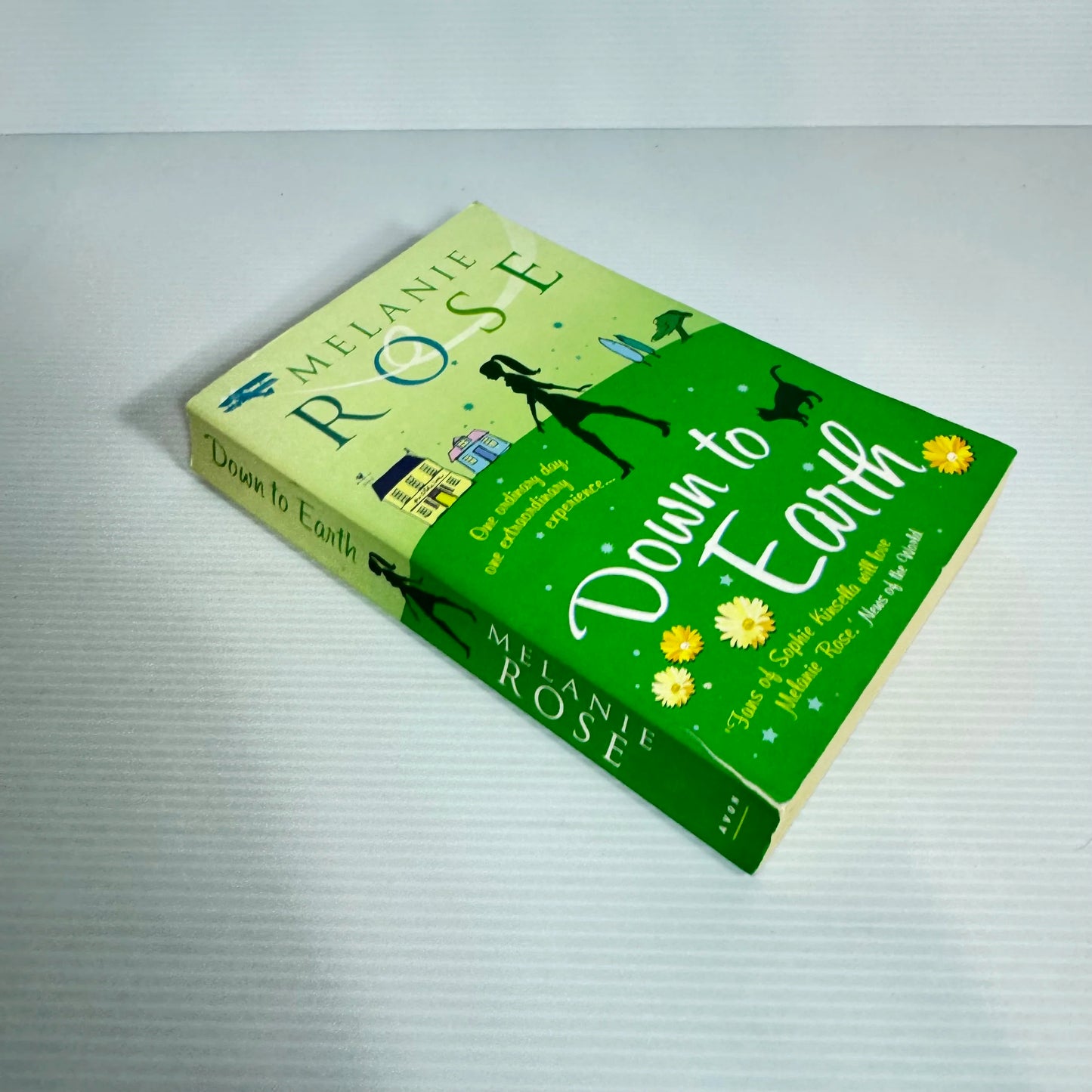 Down To Earth - Melanie Rose