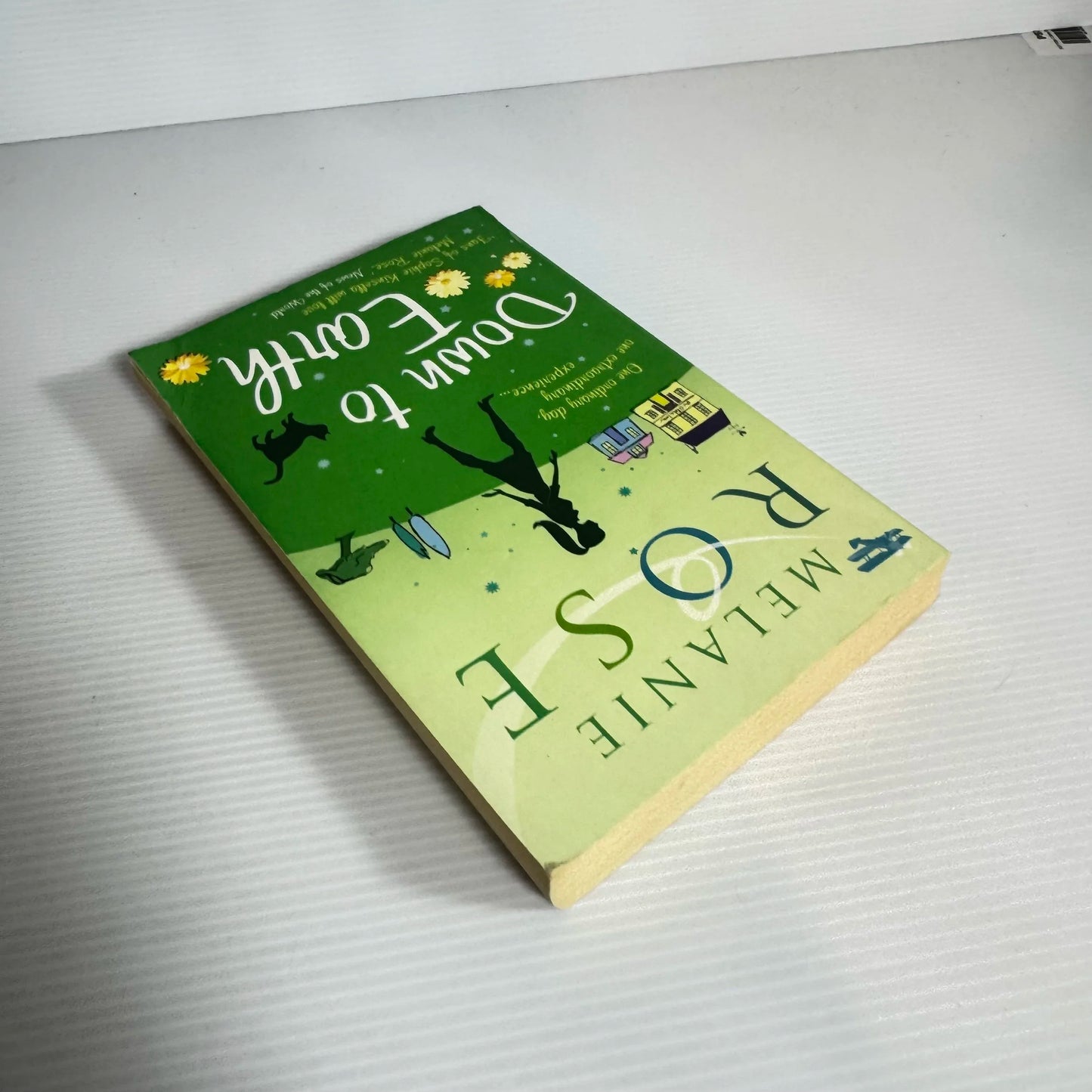 Down To Earth - Melanie Rose