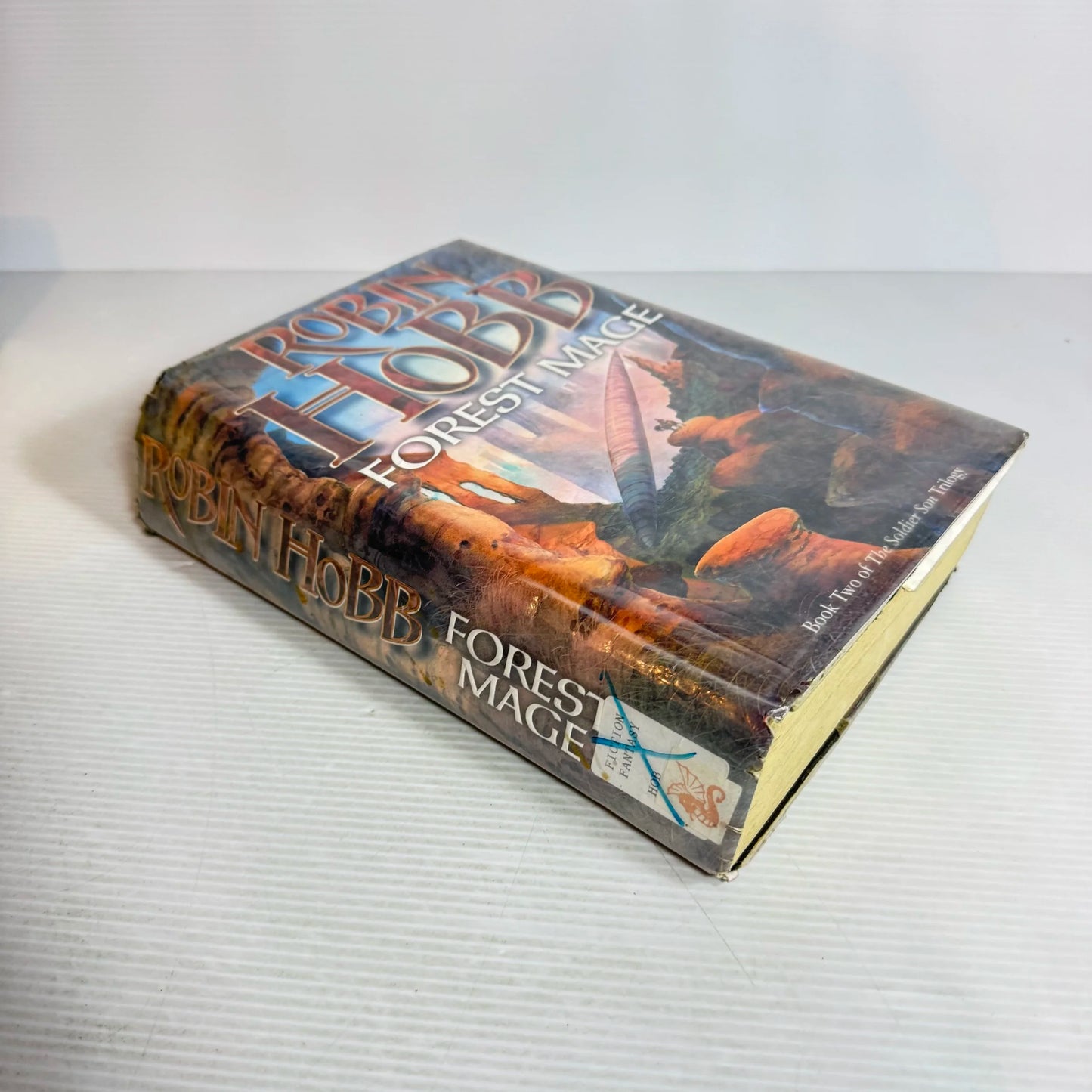 Forest Mage - Robin Hobb