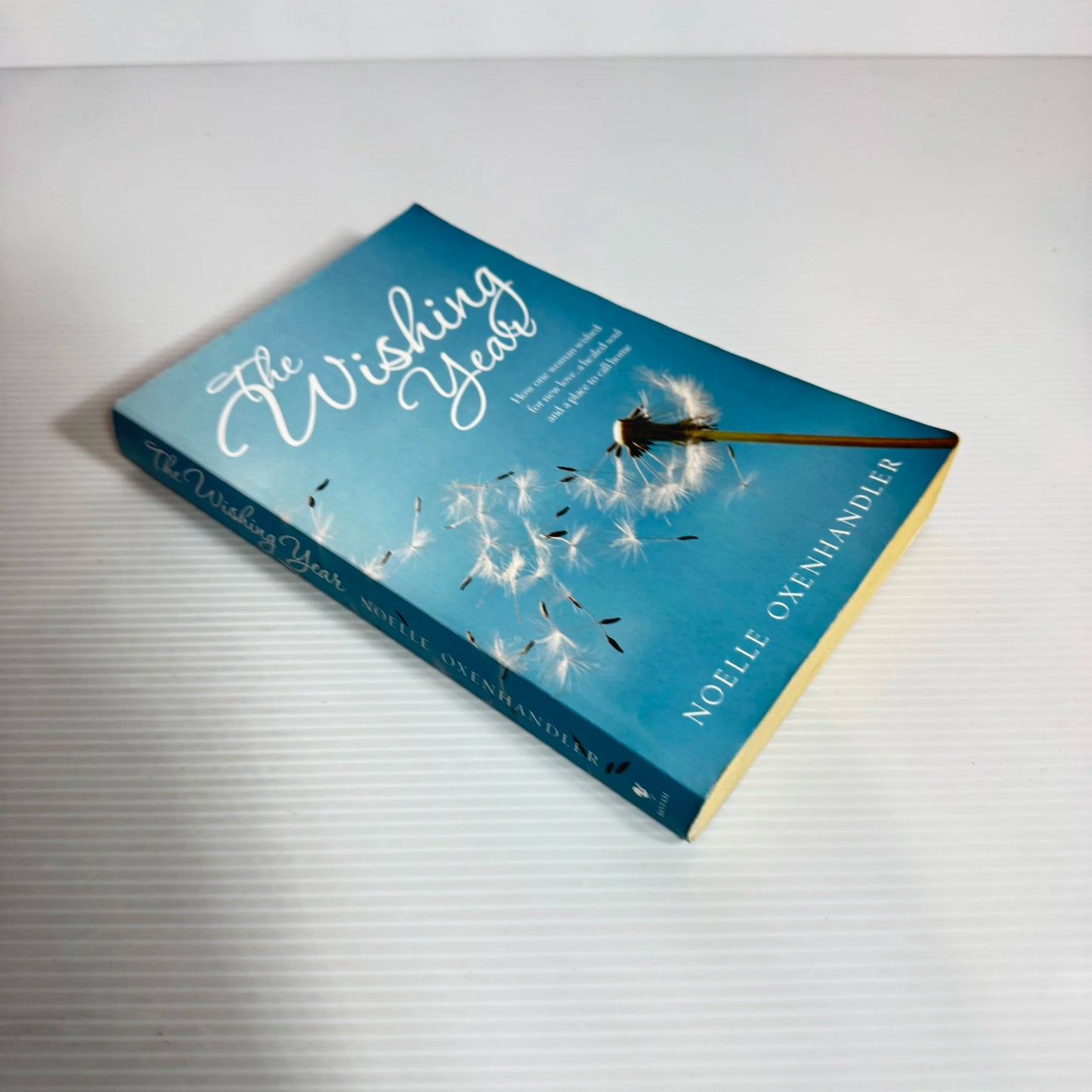 The Wishing Year - Noelle Oxenhandler