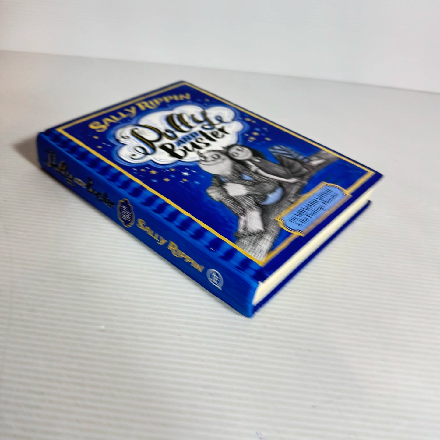 Polly And Buster Book 1 : The Wayward Witch & The Feelings Monster - Sally Rippin