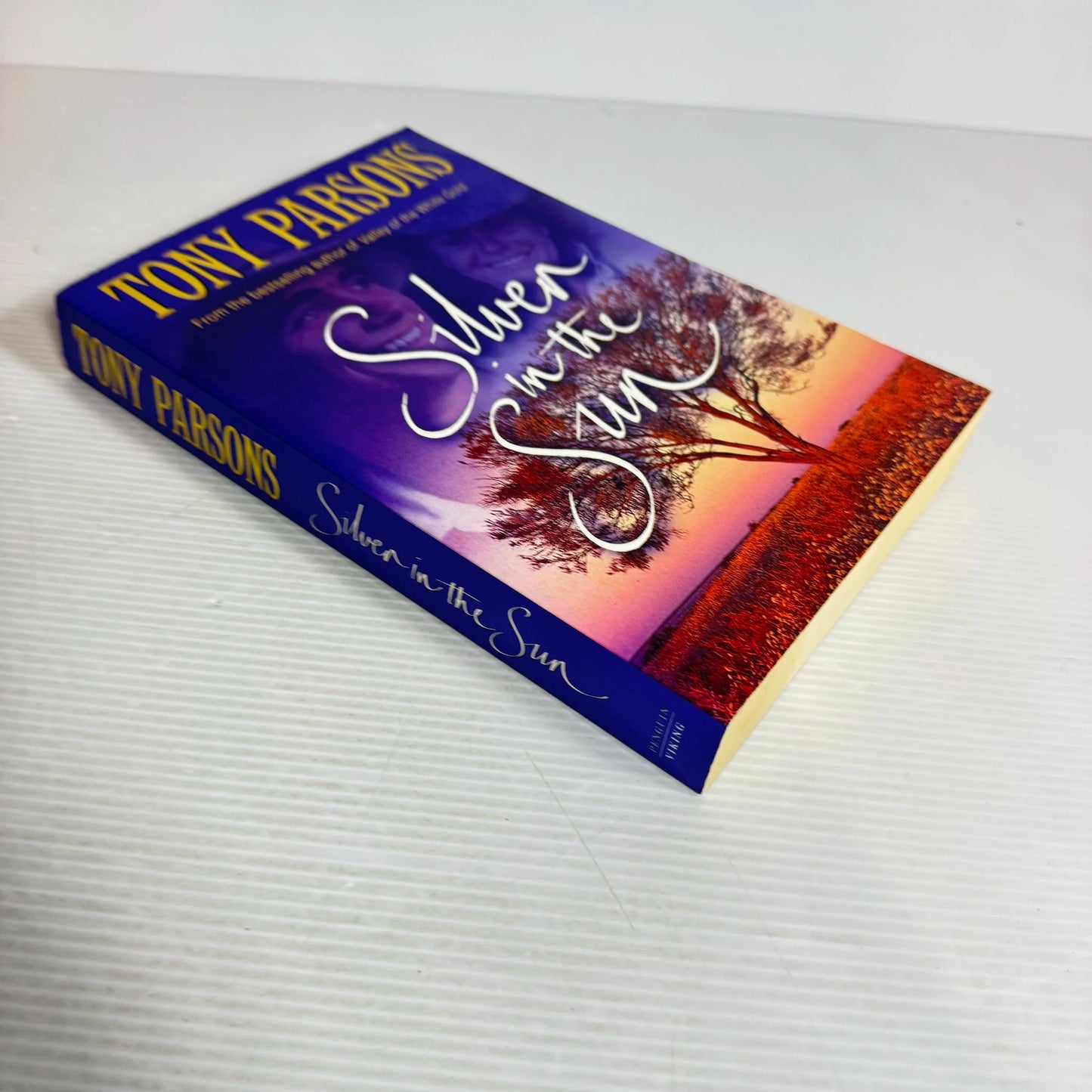 Silver In The Sun - Tony Parsons