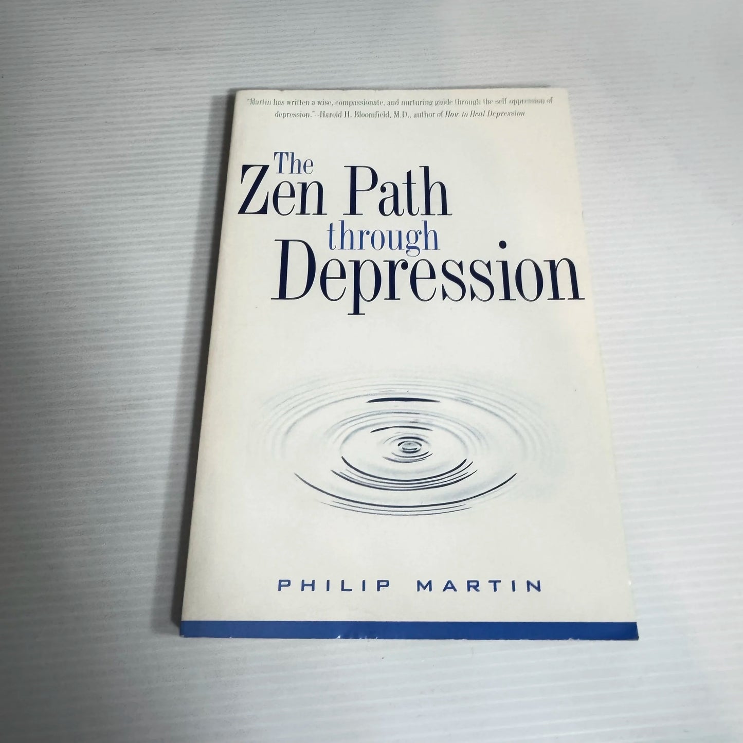 The Zen Path Through Depression - Philip Martin